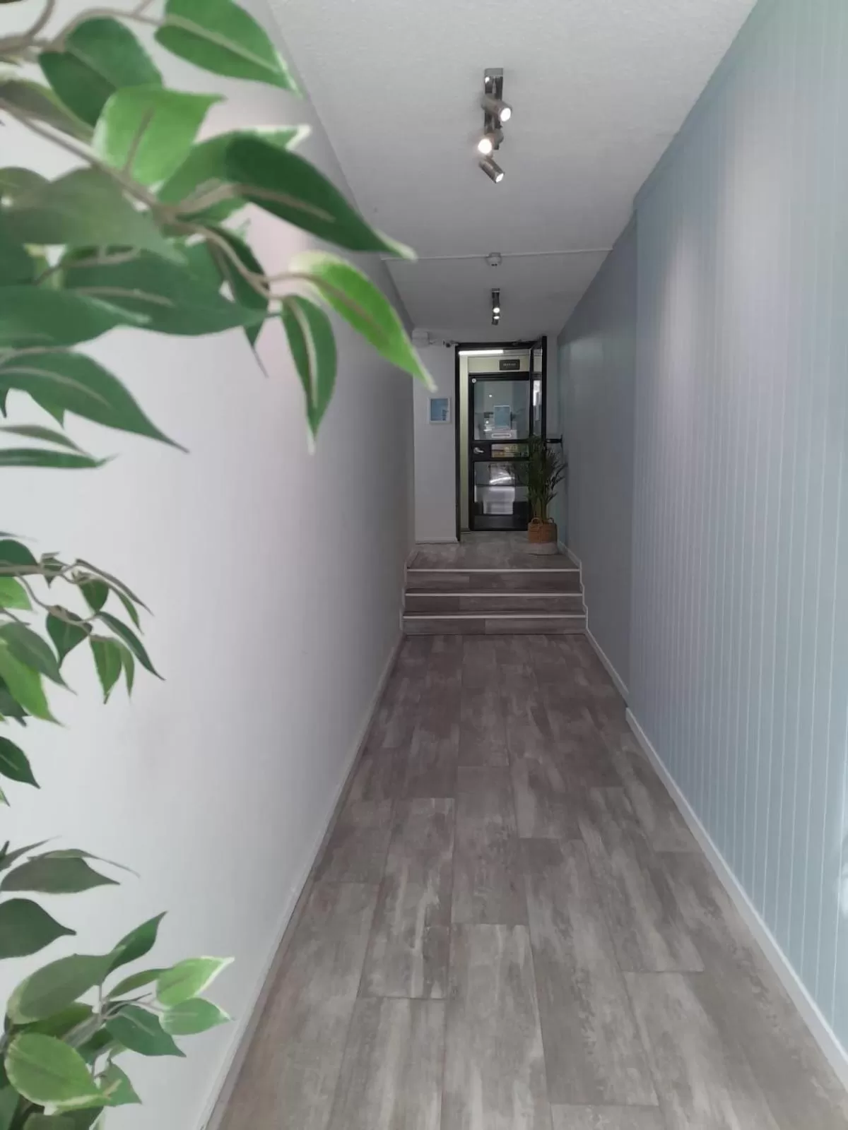 Lobby or reception in Little Coogee Hotel