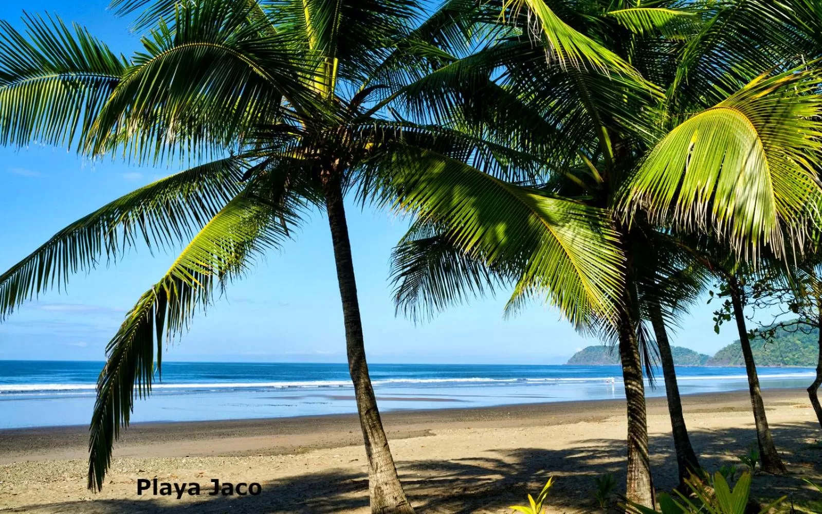 Beach in Hotel Catappa