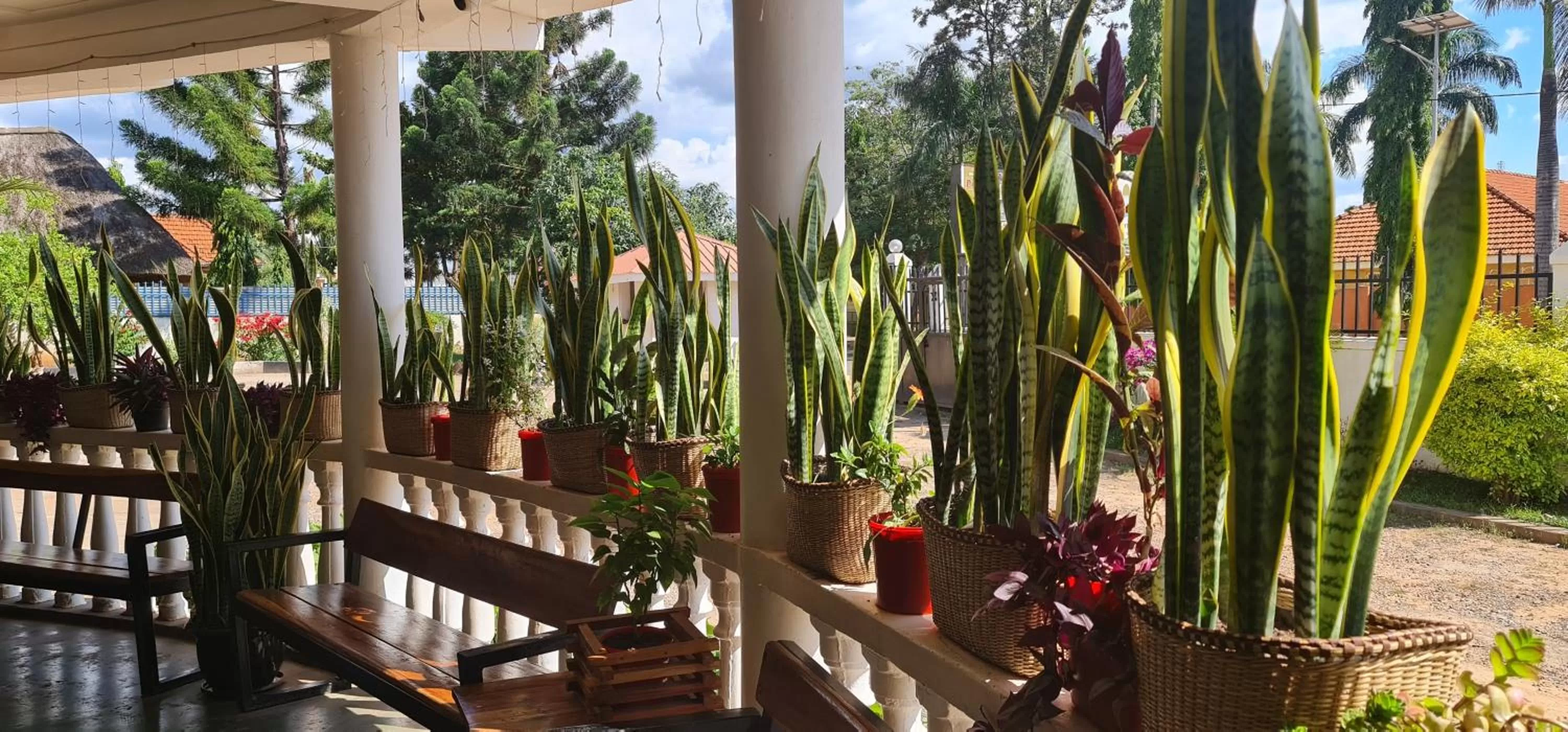 Property building in Northern Pearl