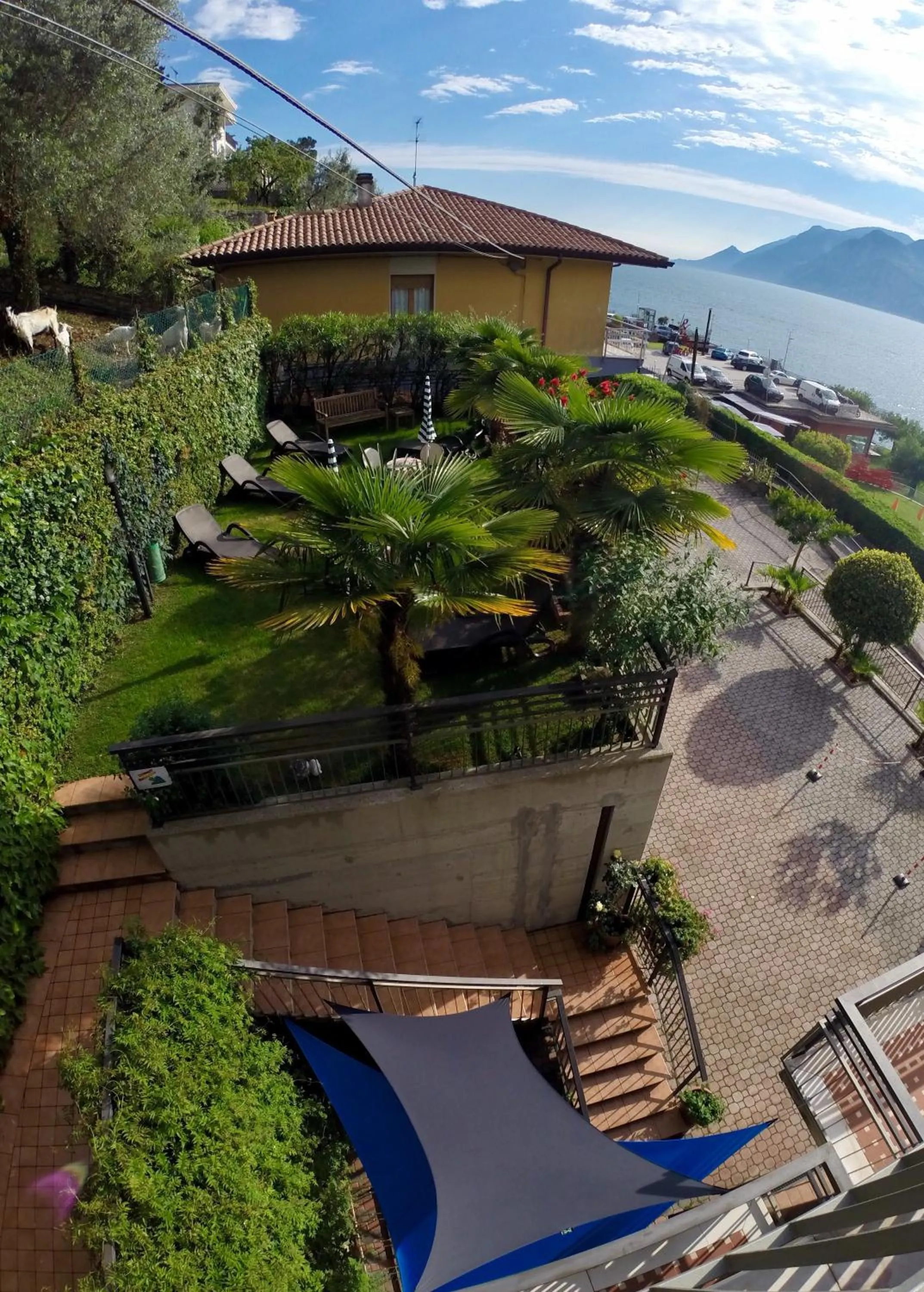 Bird's eye view in Albergo Villa Edera