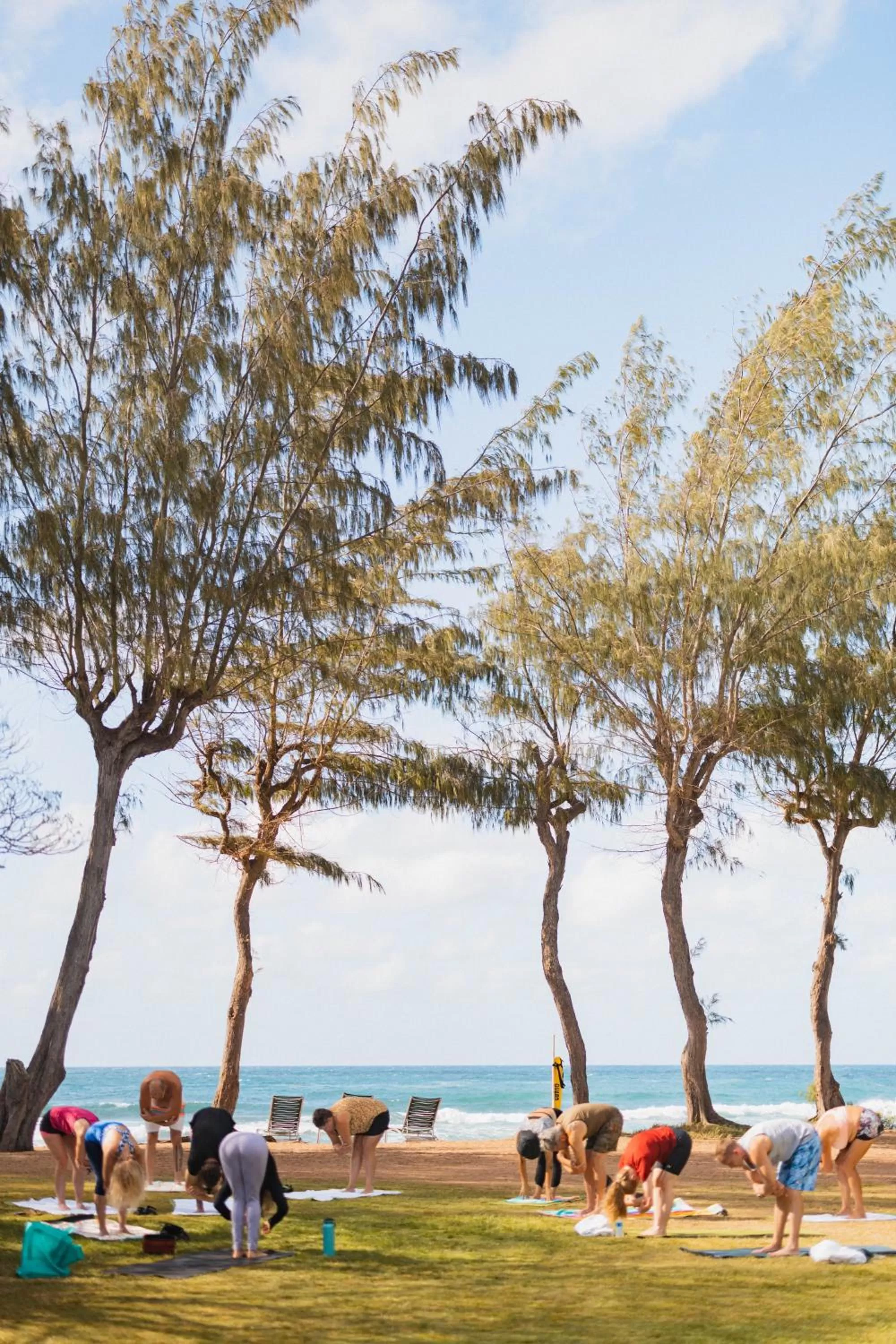 Activities in Kauai Shores Hotel