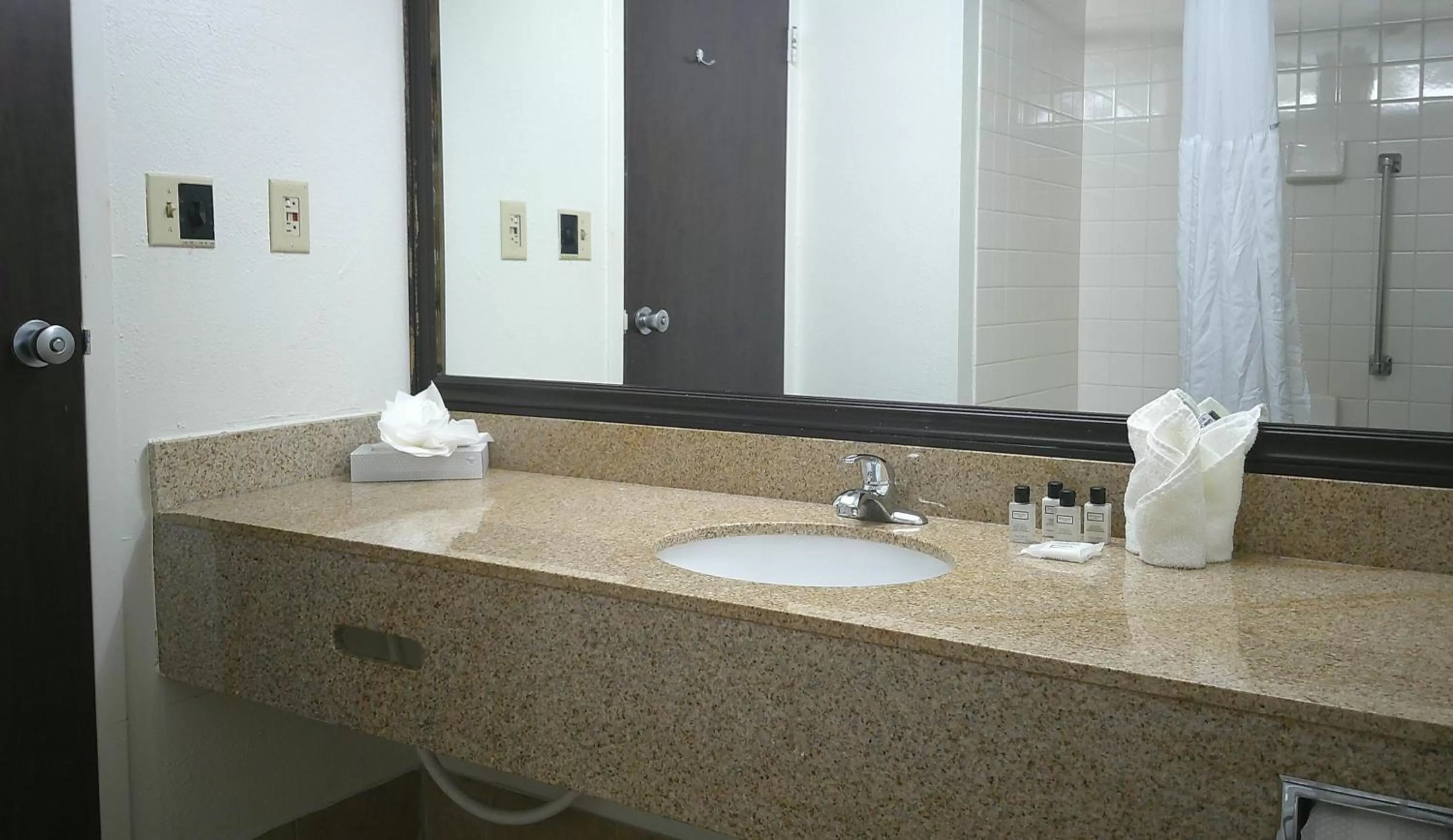 Wyndham Garden Detroit Metro Airport