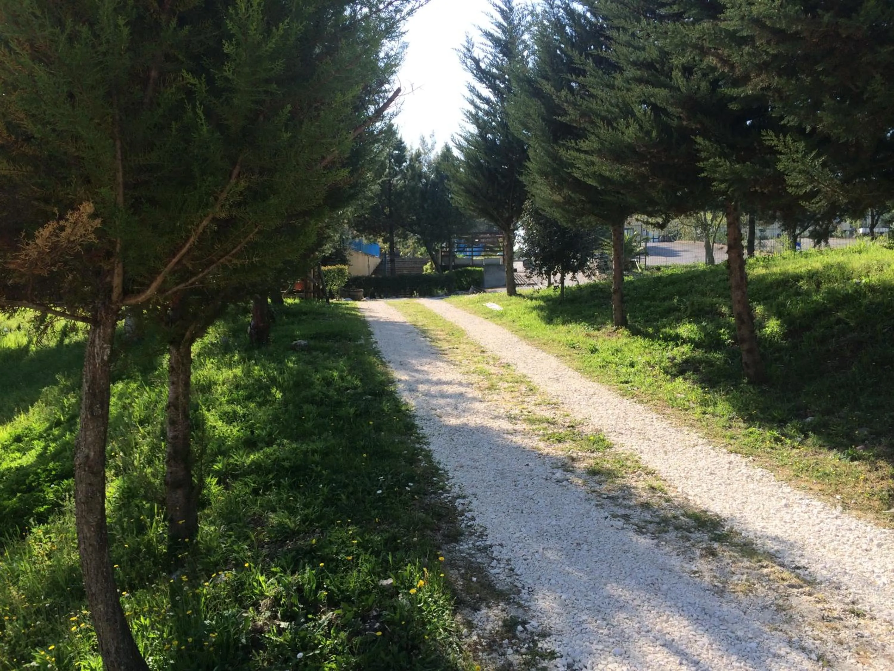 Natural landscape in Hotel D.G. Garden