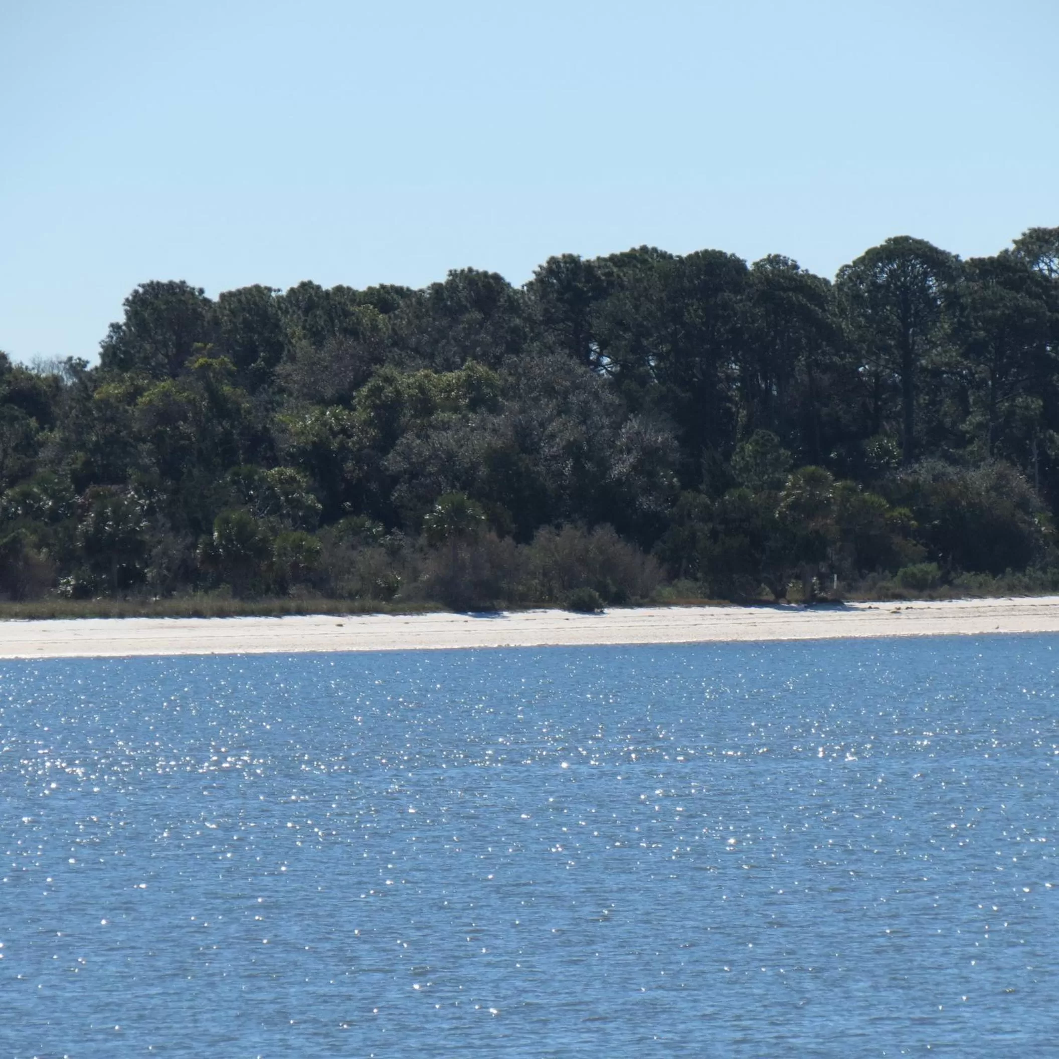 Natural landscape in Beach Front Motel Cedar Key