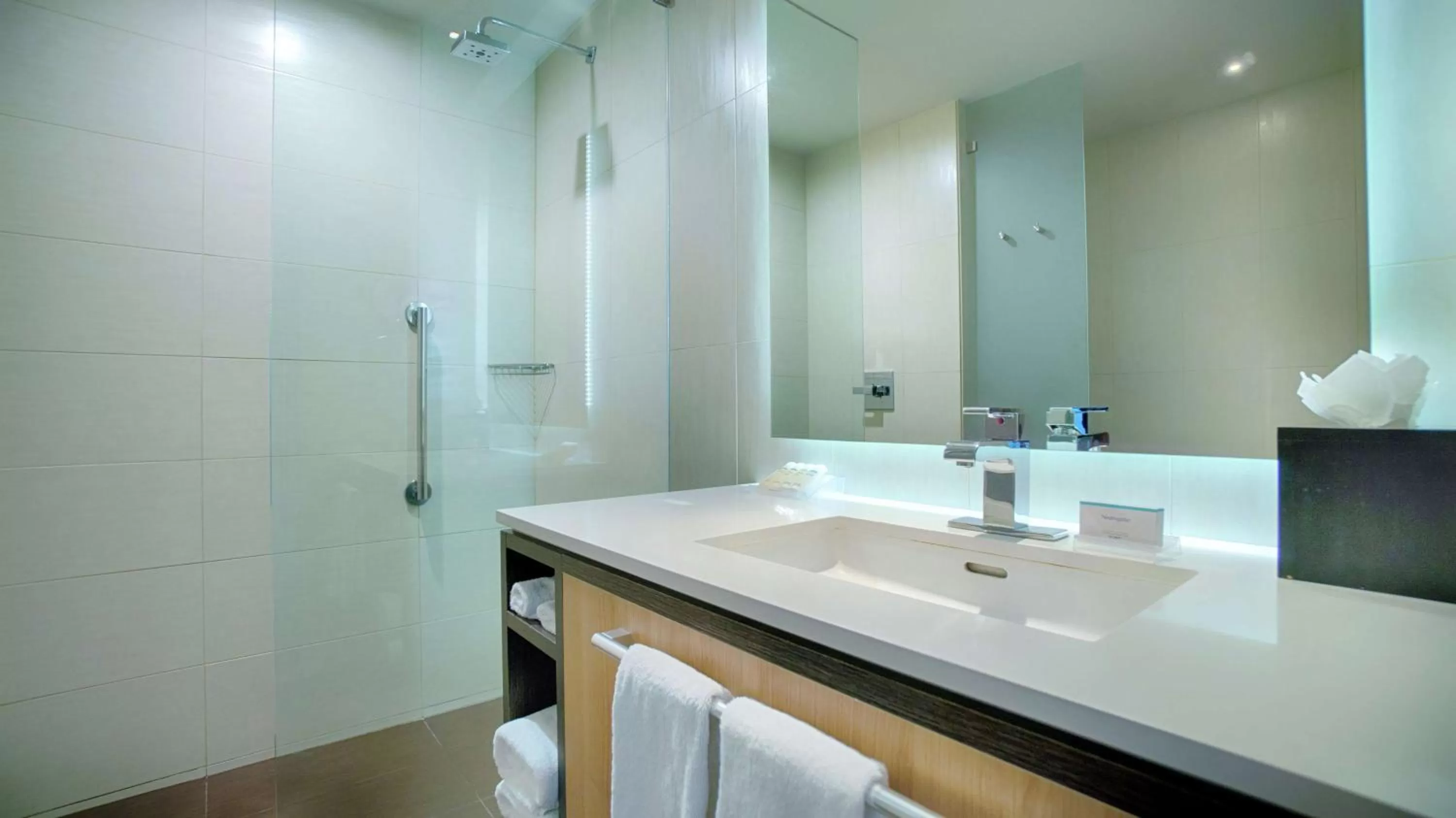 Bathroom in Hilton Garden Inn San Jose La Sabana, Costa Rica