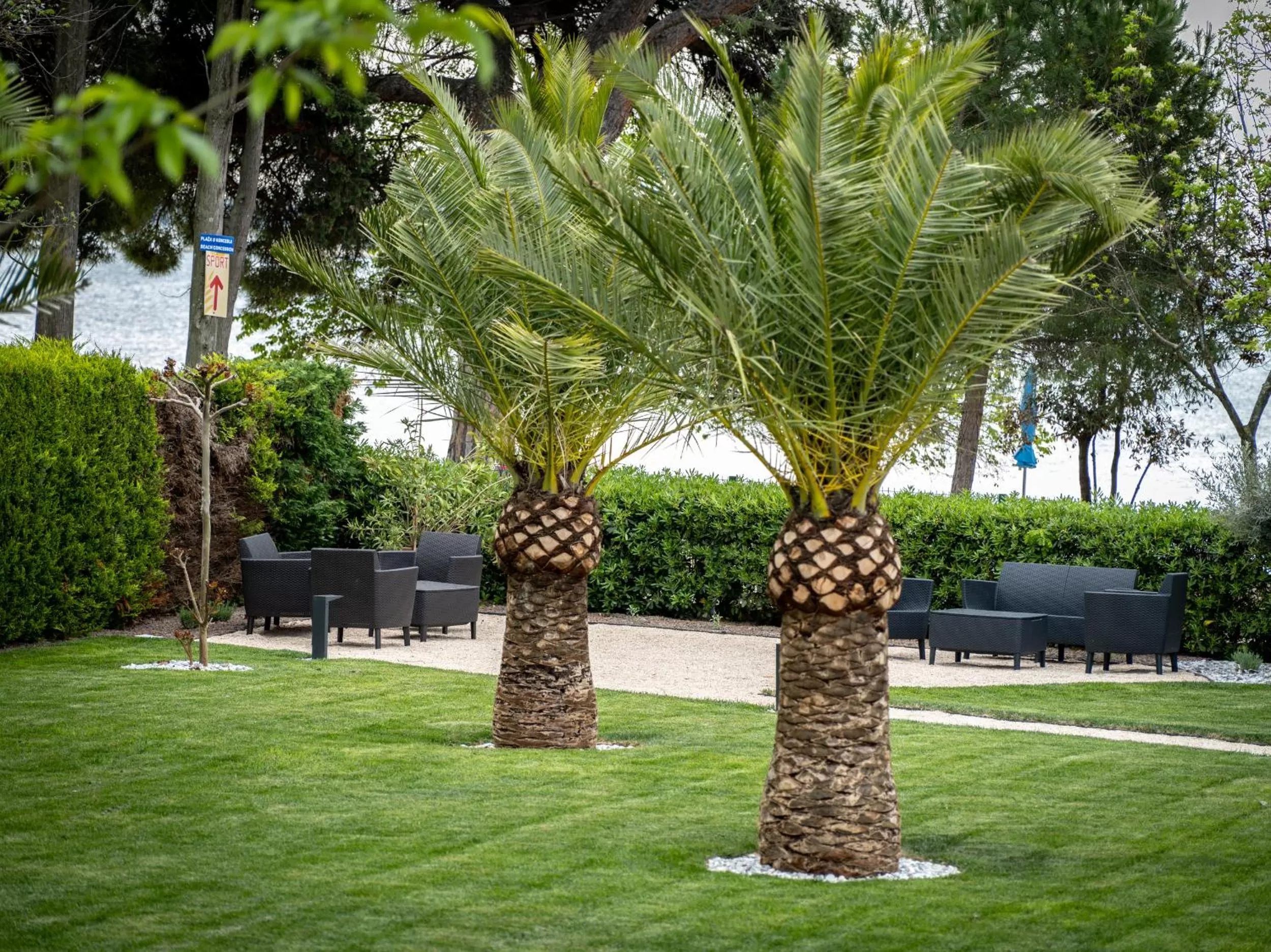 Garden in Hotel Villa Rosetta