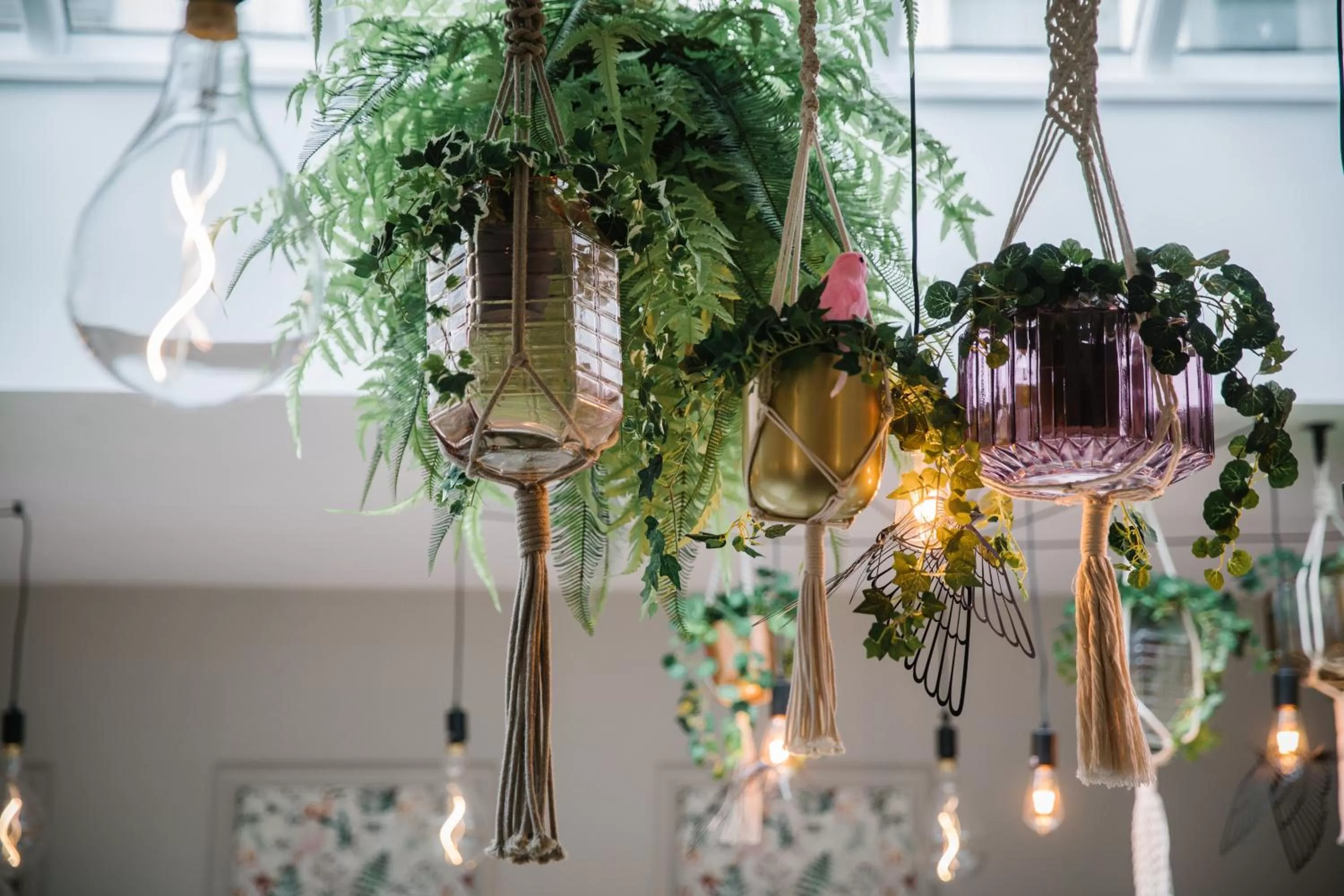 Decorative detail in Lindeth Howe