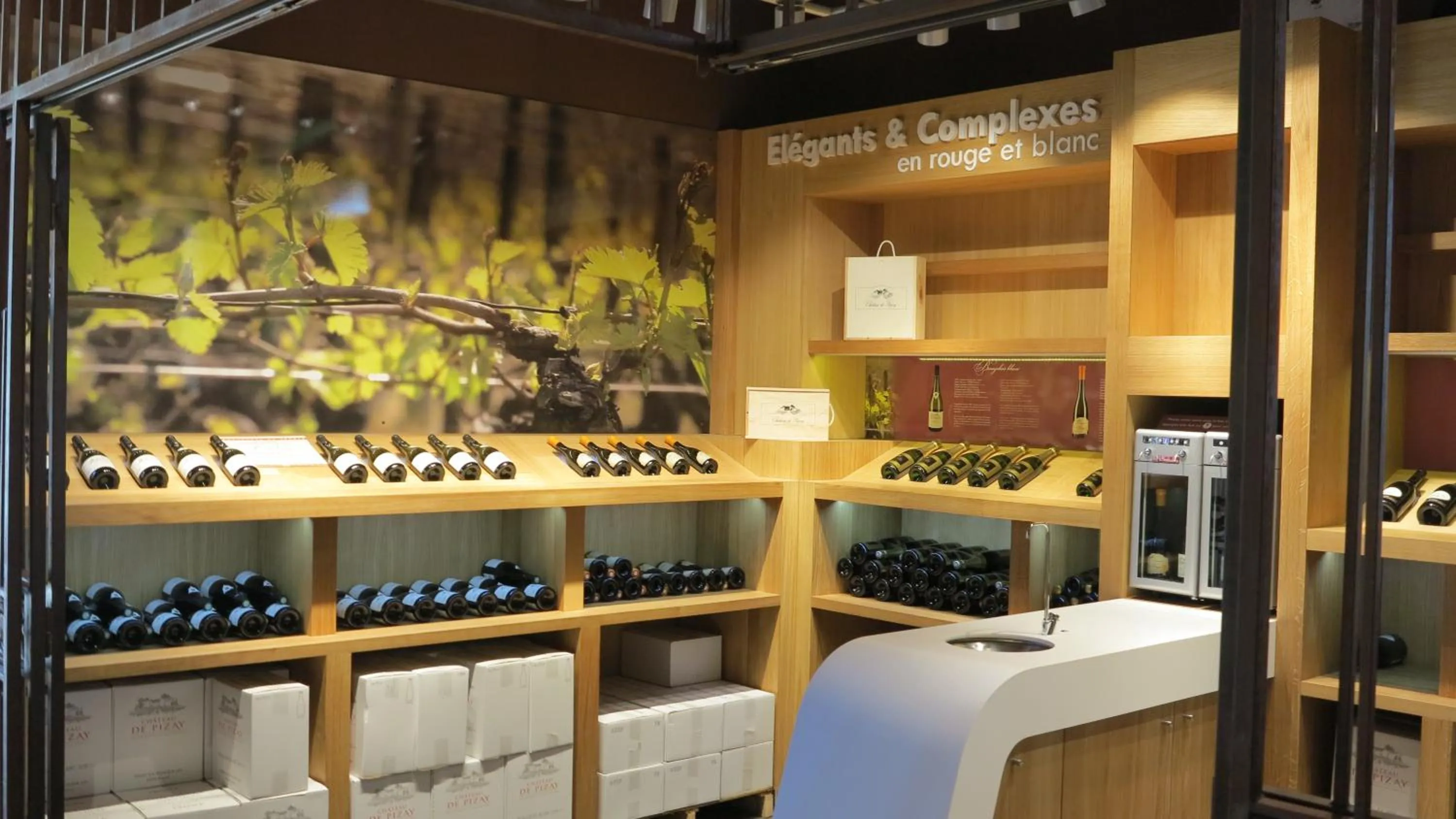 Spring in Château de Pizay