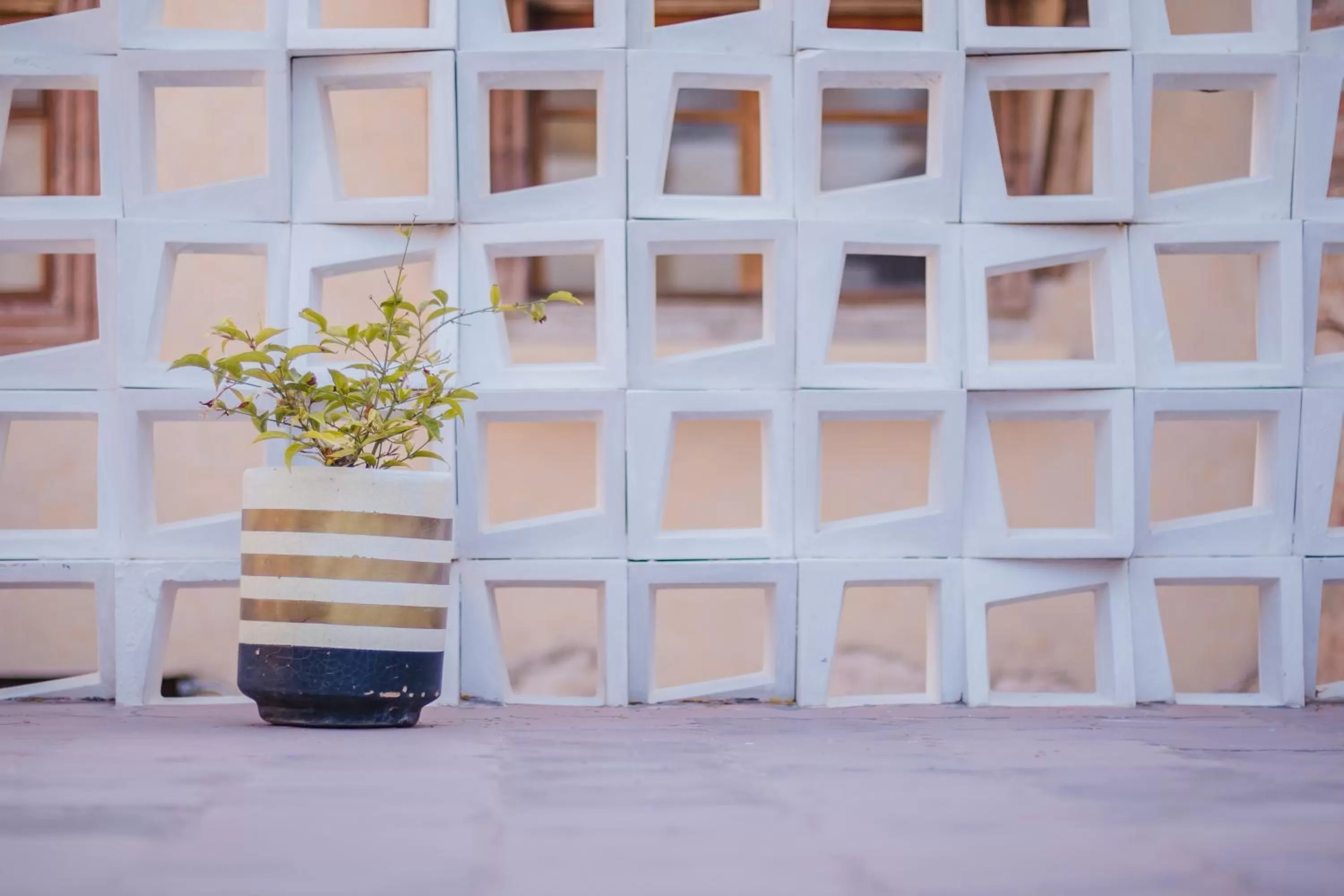 Day, Property Building in Hotel Casa 88