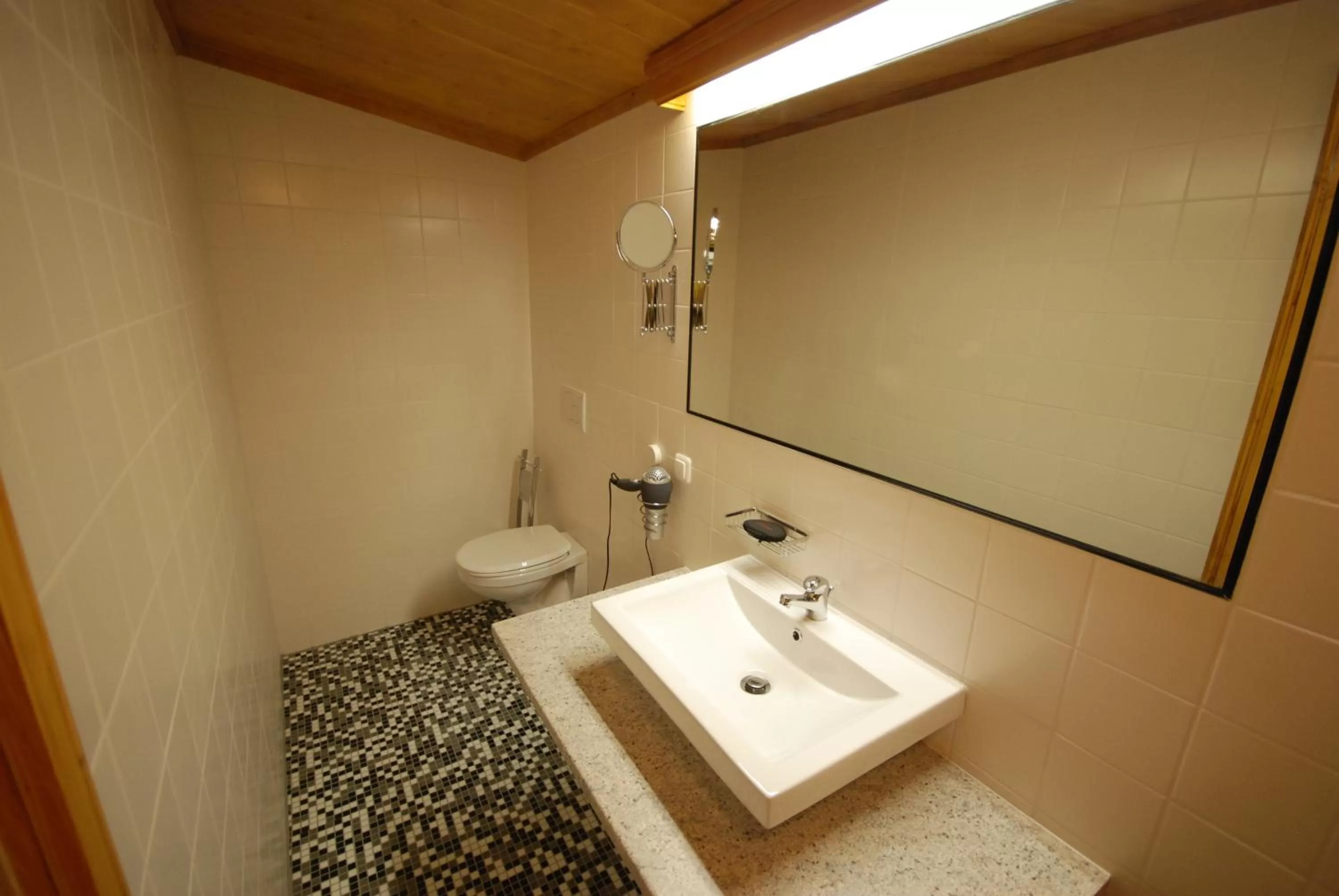 Bathroom in Moving Rooms