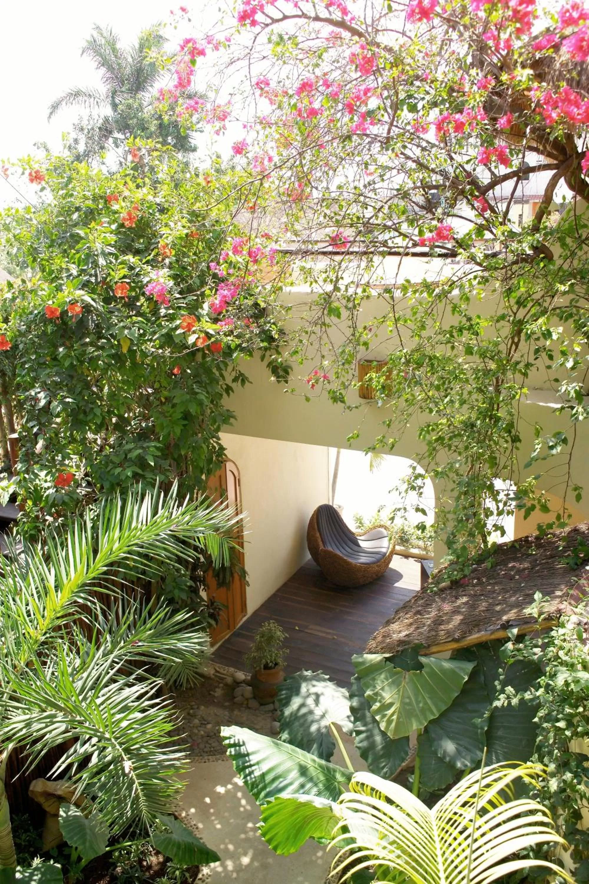 Garden in Kinbe Hotel Boutique