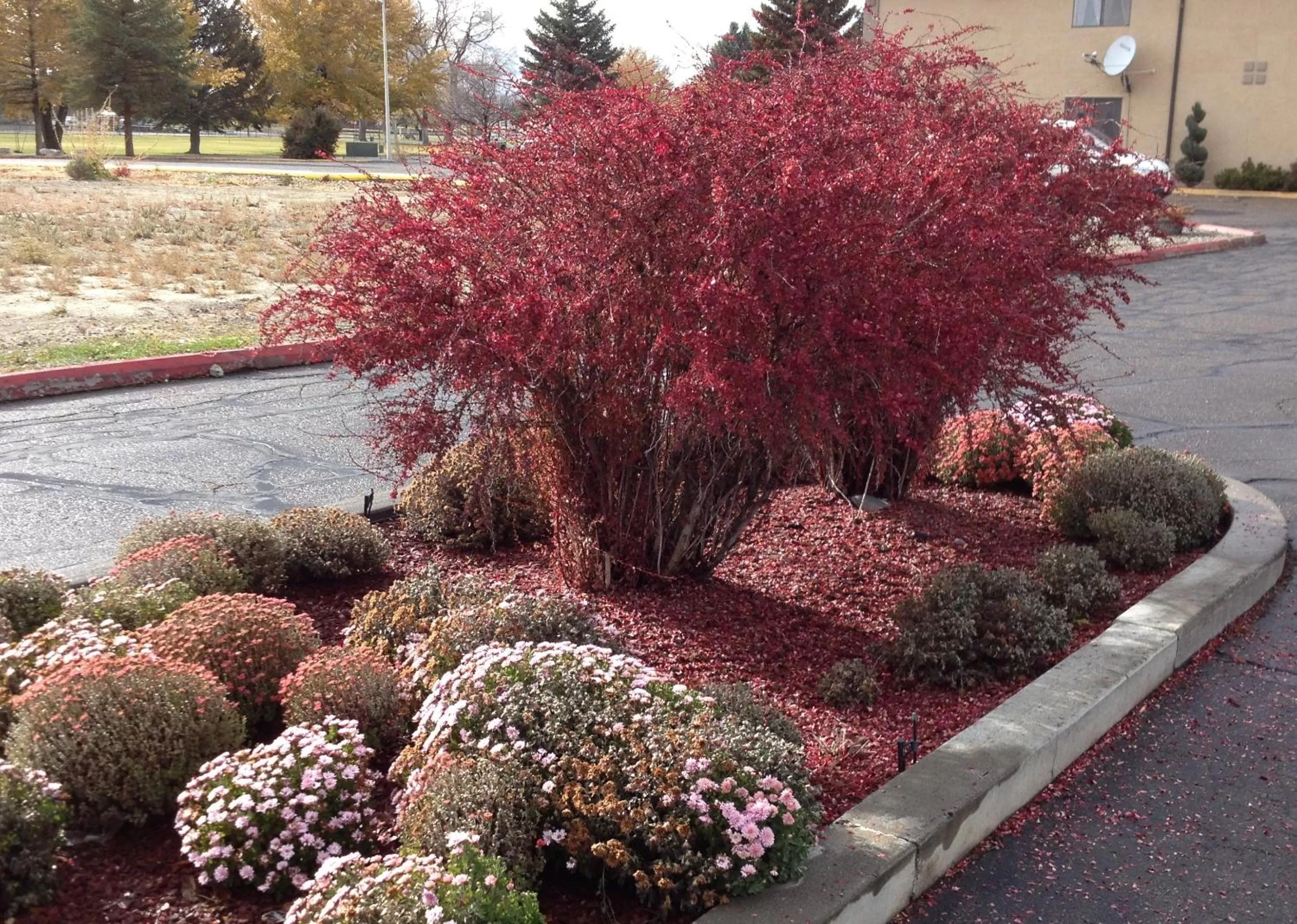 Facade/entrance in Super 8 by Wyndham Elko