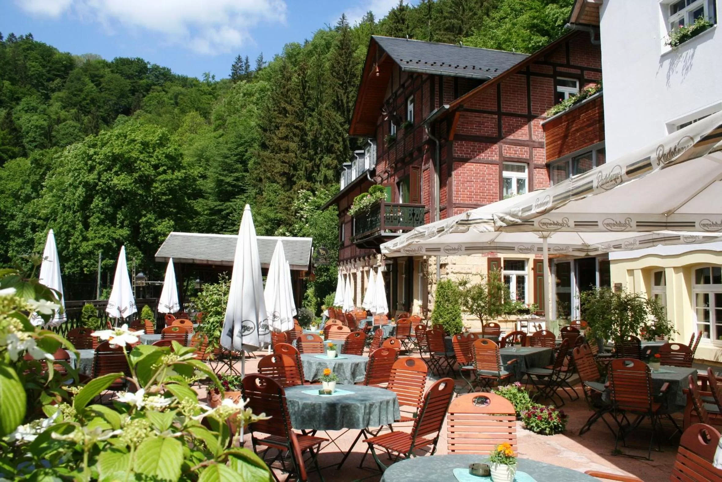 Restaurant/places to eat in Hotel Forsthaus