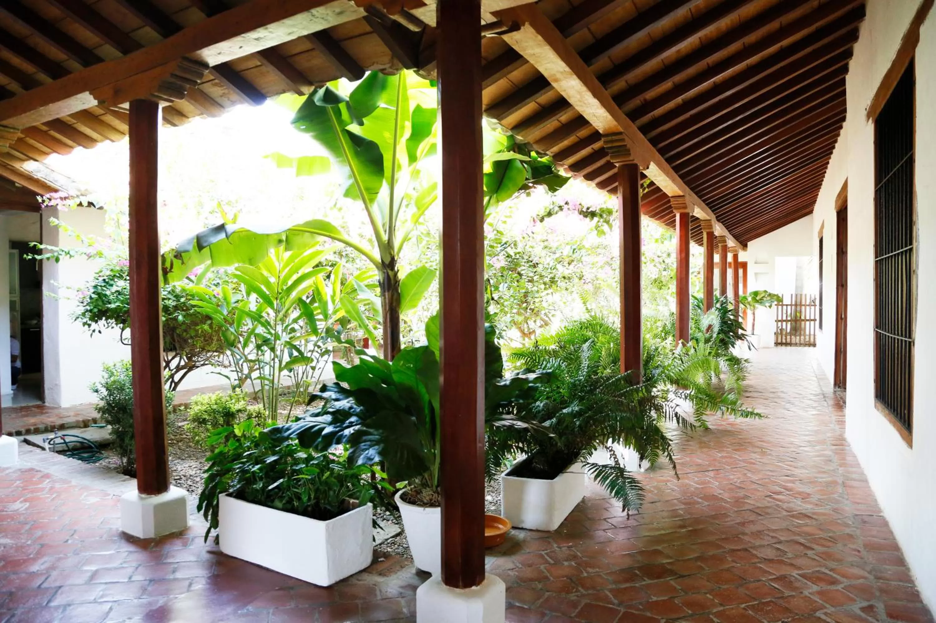 Day in Portal de la Marquesa