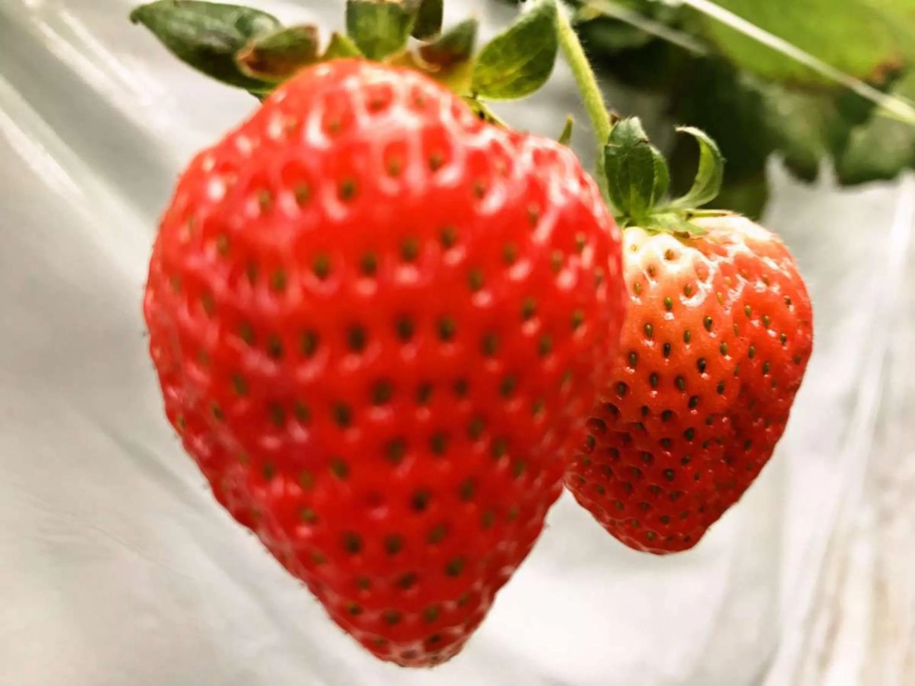 Other in Iwaki Washington Hotel