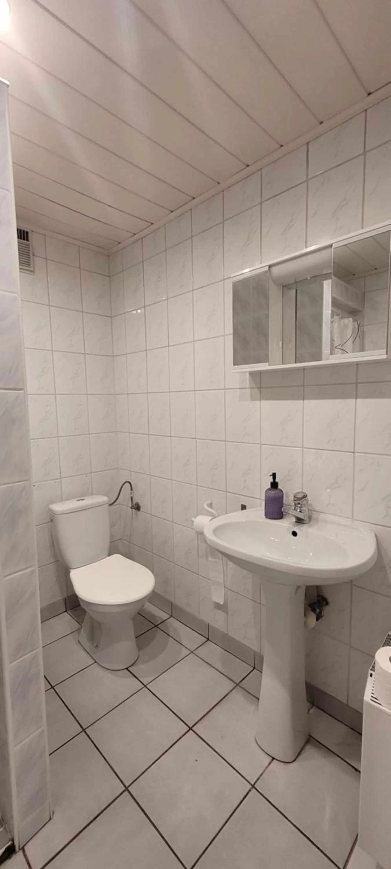 Toilet in Dworek Pokoje Gościnne