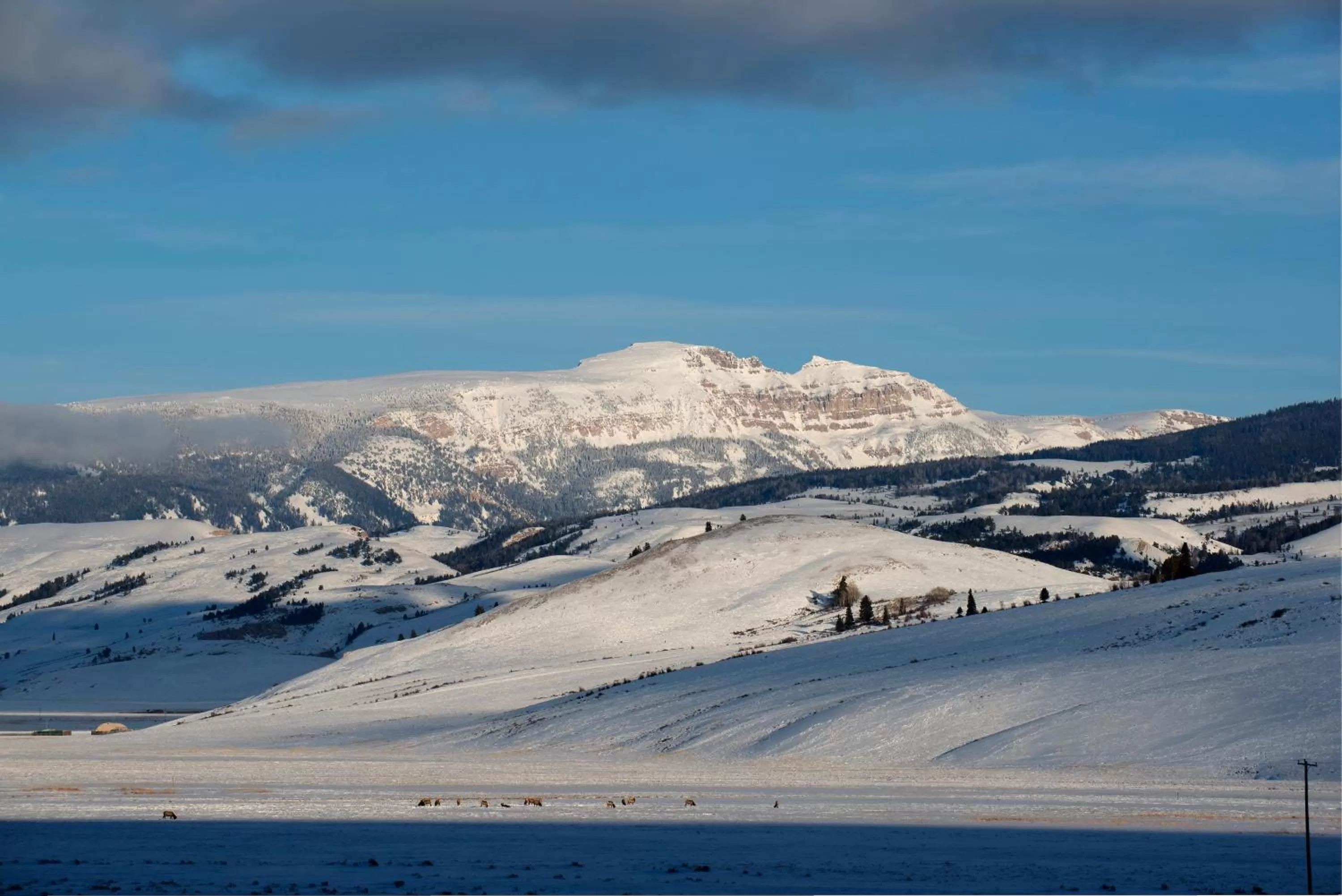 Mountain view in Elk Refuge Inn