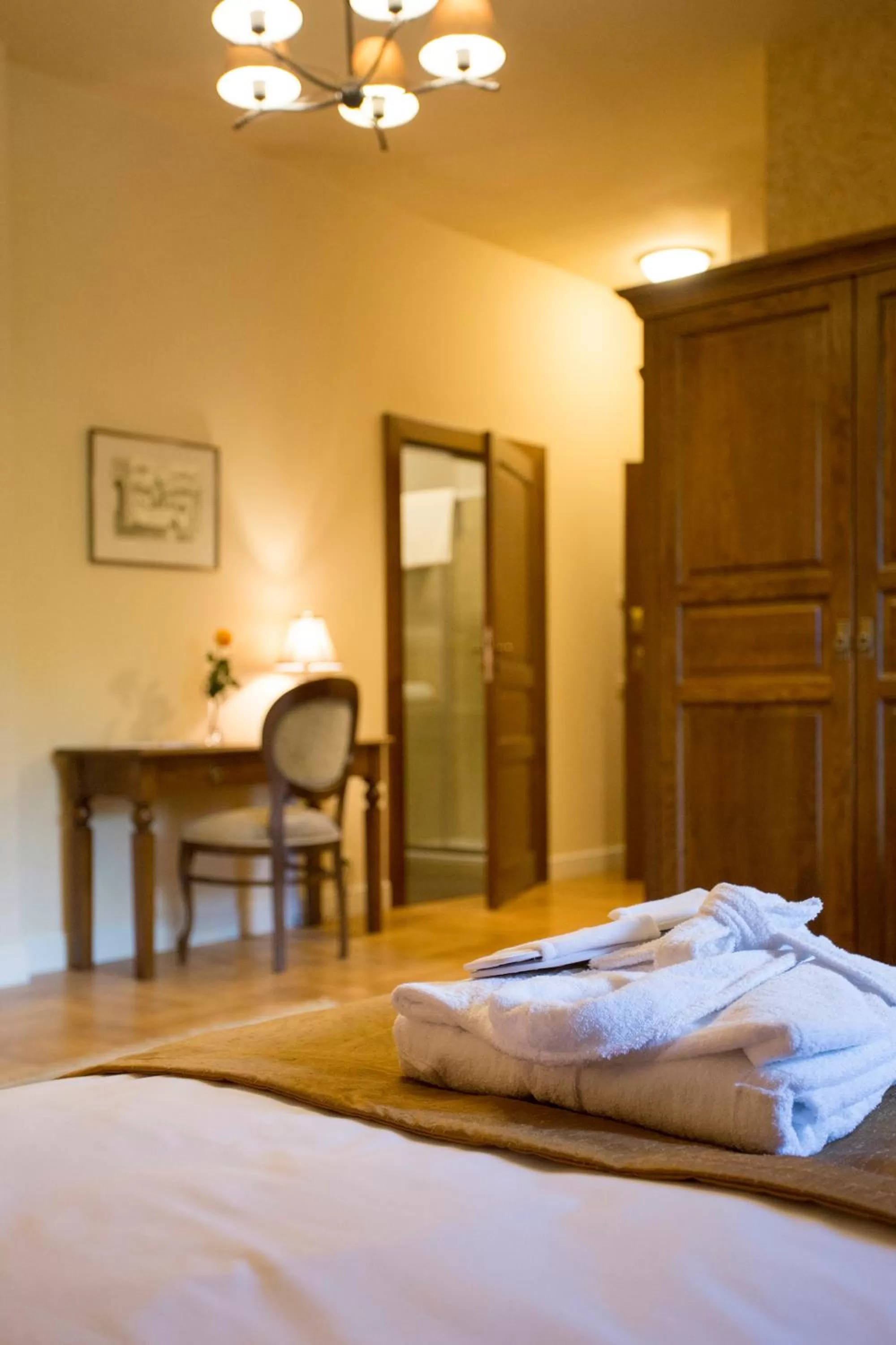 Bed in Pałac Polanka