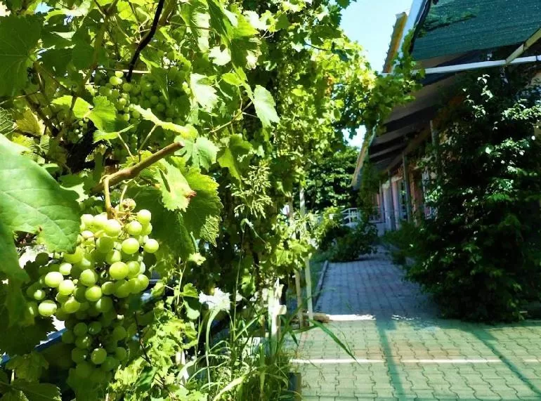 Garden in Le Relais de la RN7