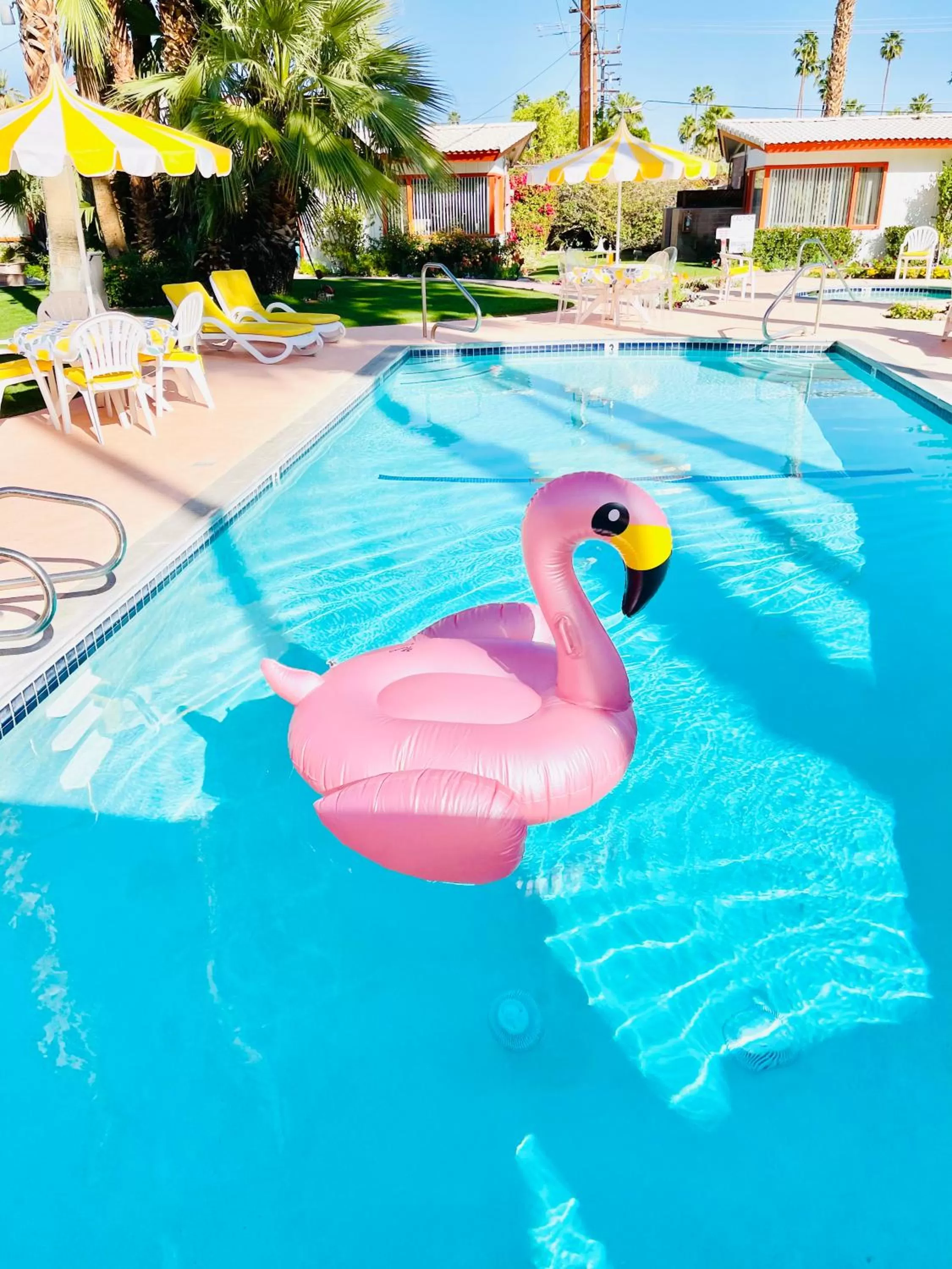 Swimming pool in A PLACE IN THE SUN Hotel - ADULTS ONLY Big Units, 24h Heated Pool & Spa in 1 Acre Park Prime Location, DOG Friendly, TOP Midcentury Modern Boutique Hotel