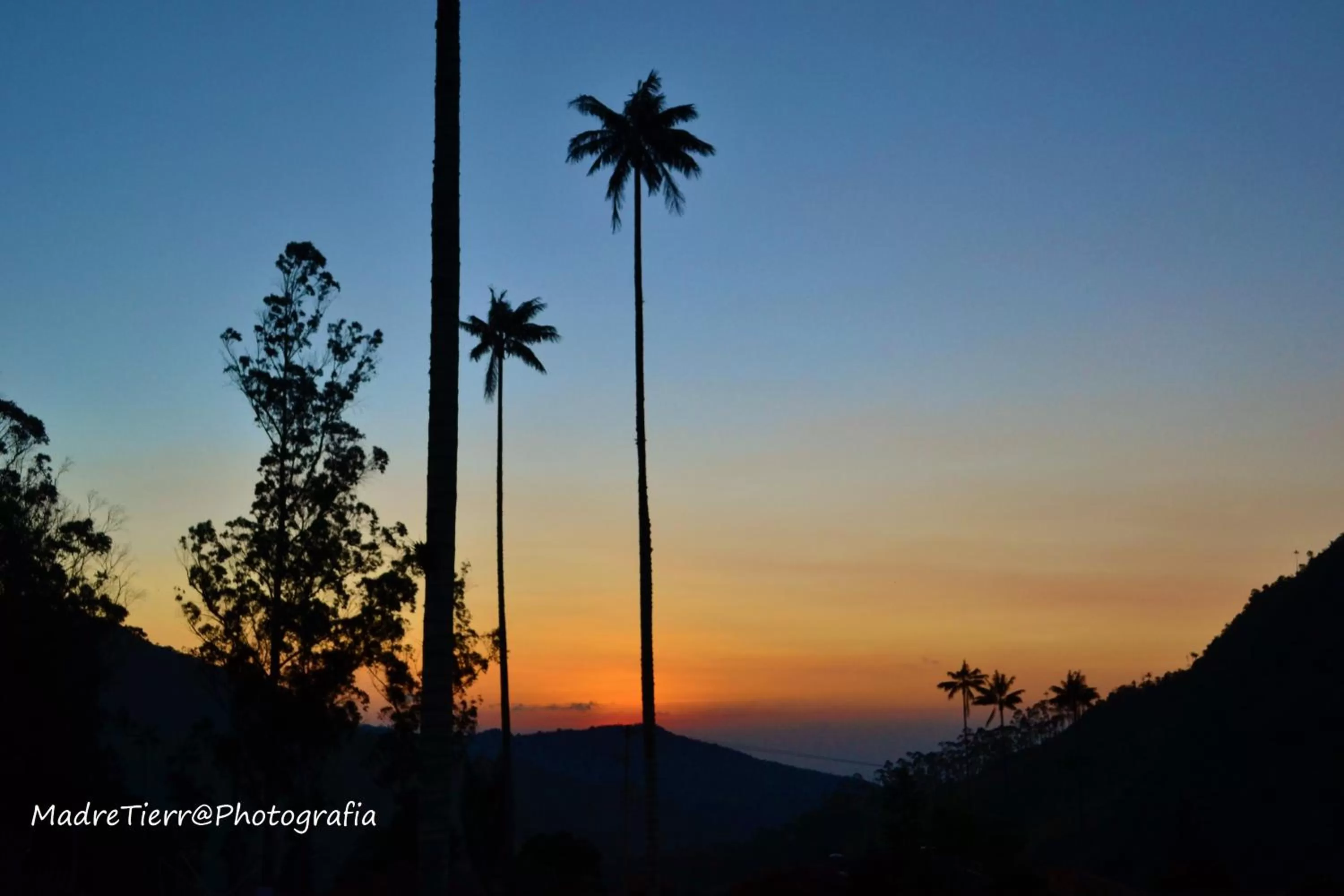 Natural landscape in Casa Borbon