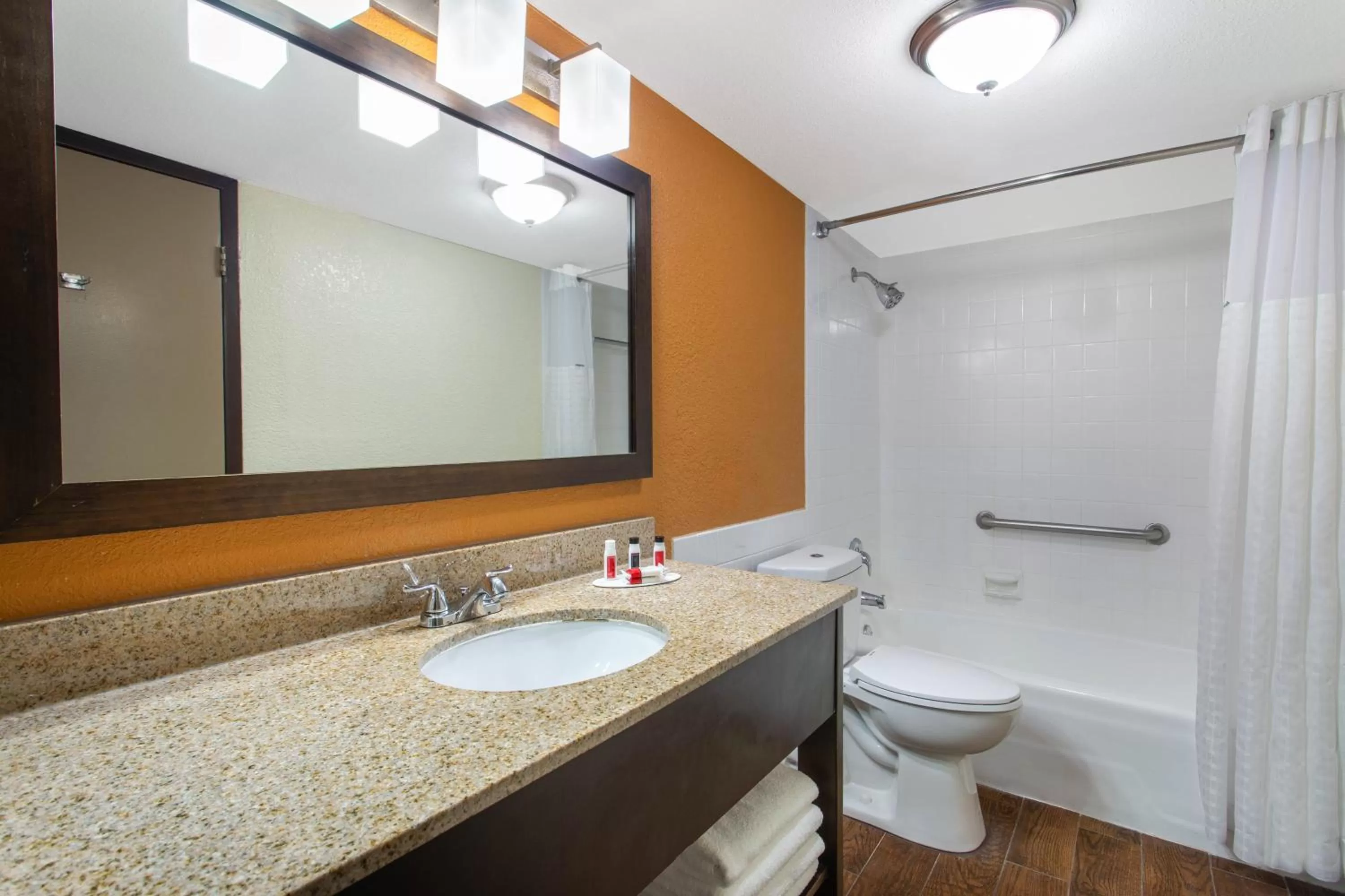 Bathroom in Ramada by Wyndham Tampa Westshore Airport South