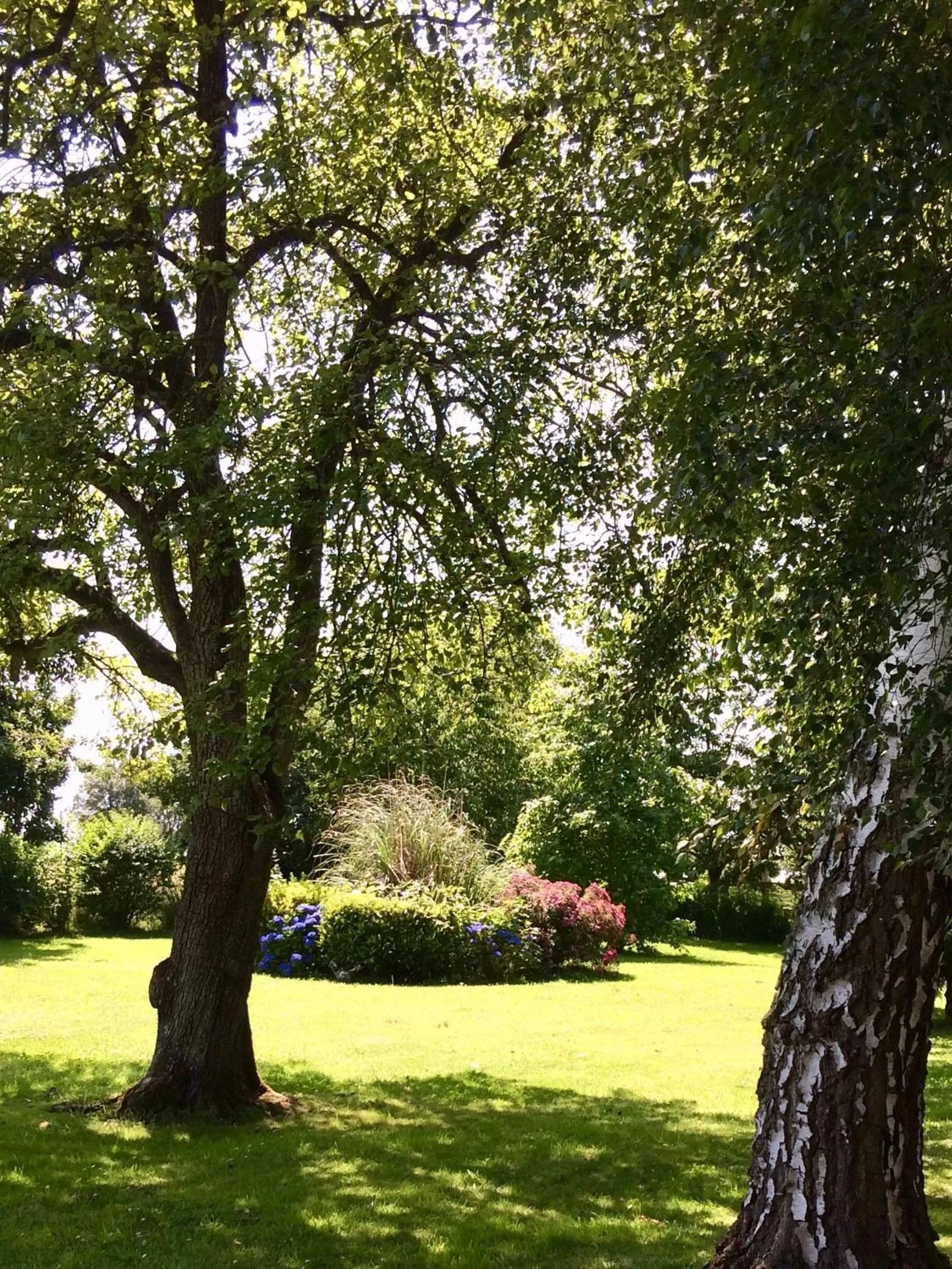 Garden in La Crepelliere