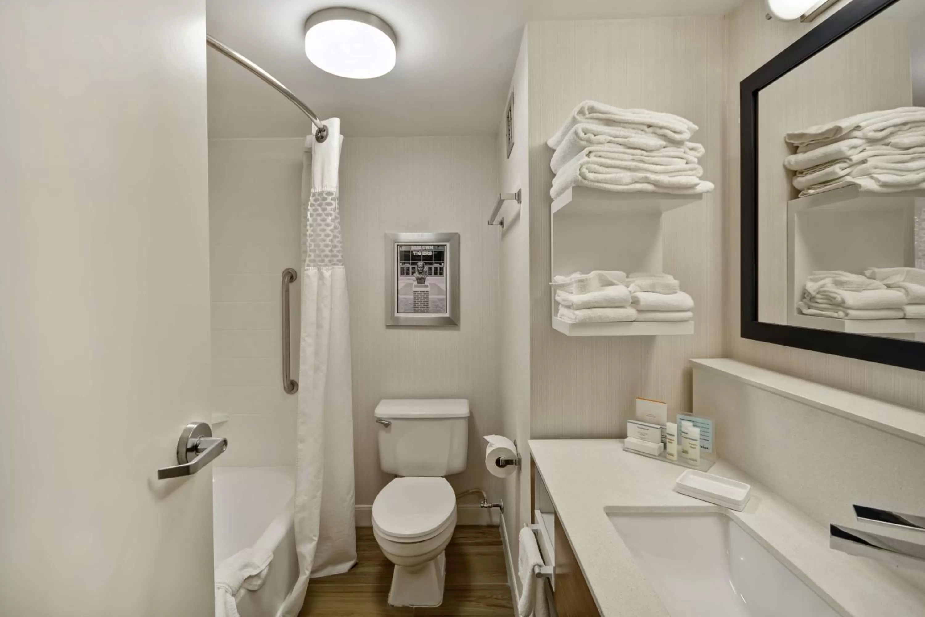 Bathroom in Hampton Inn Auburn