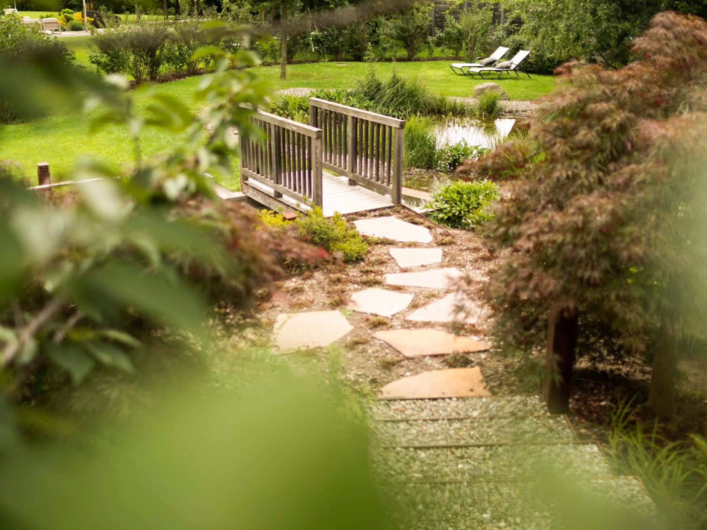 Garden in Biohotel theiner's garten