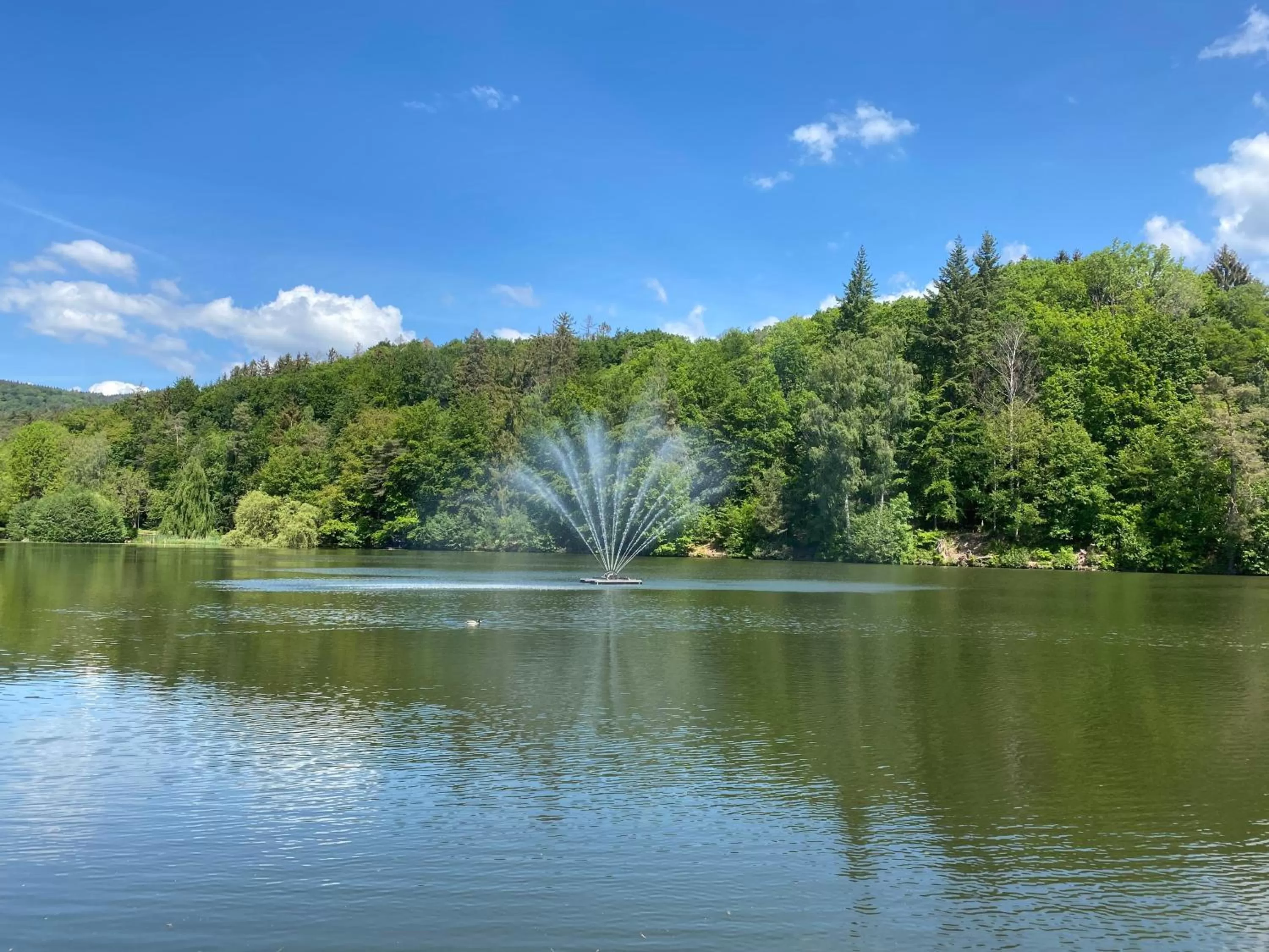 Nearby landmark in Hotel Pension Gelpkes Mühle