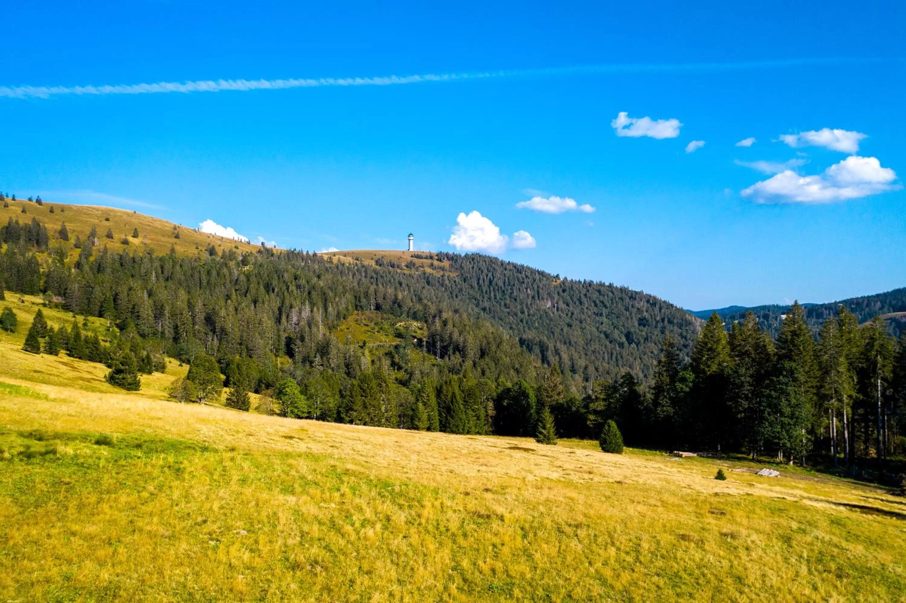 Mountain view in Berggasthof zur Todtnauer Hütte