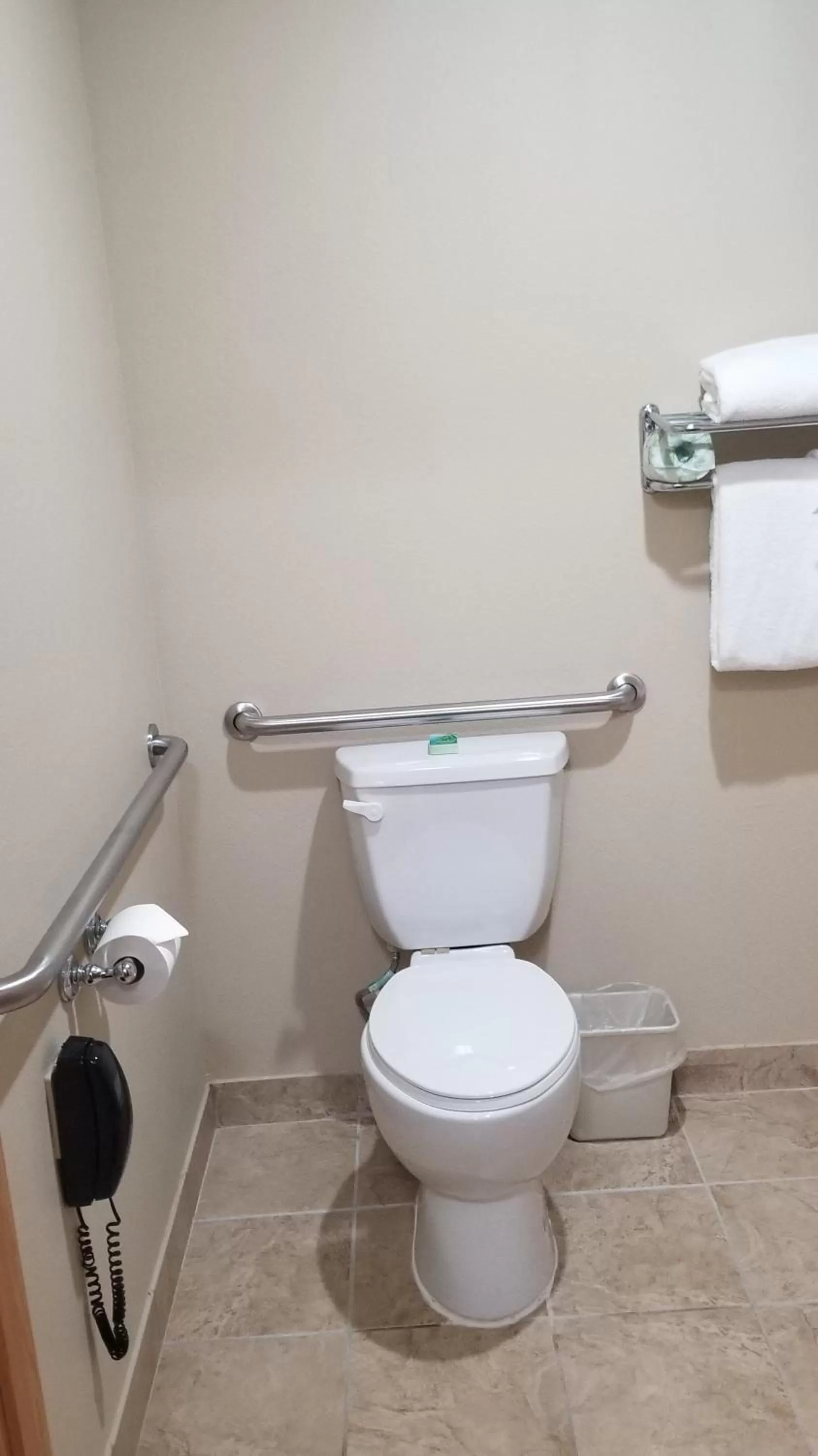 Toilet in Cobblestone Inn & Suites - Lake View