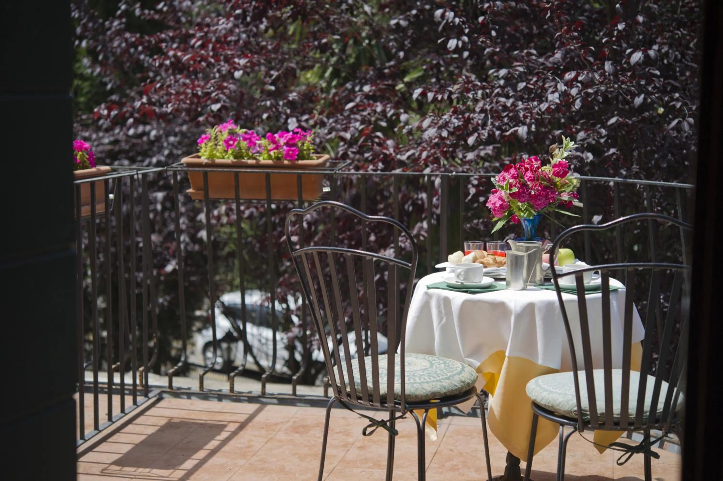Balcony/Terrace in Hotel Villa Edera