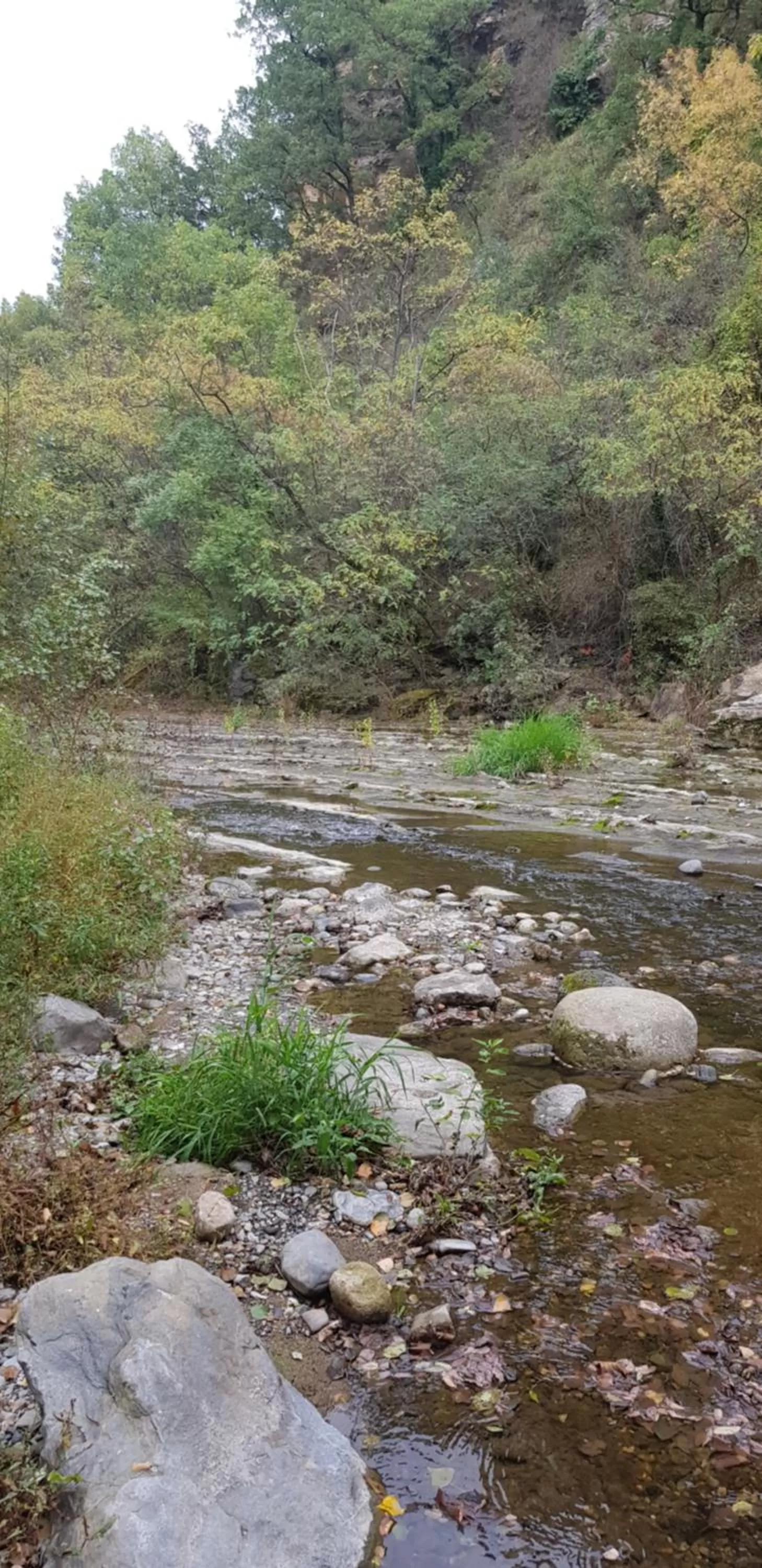 Natural Landscape in Le Moulin D'onclaire Camping et chambres d'hôtes