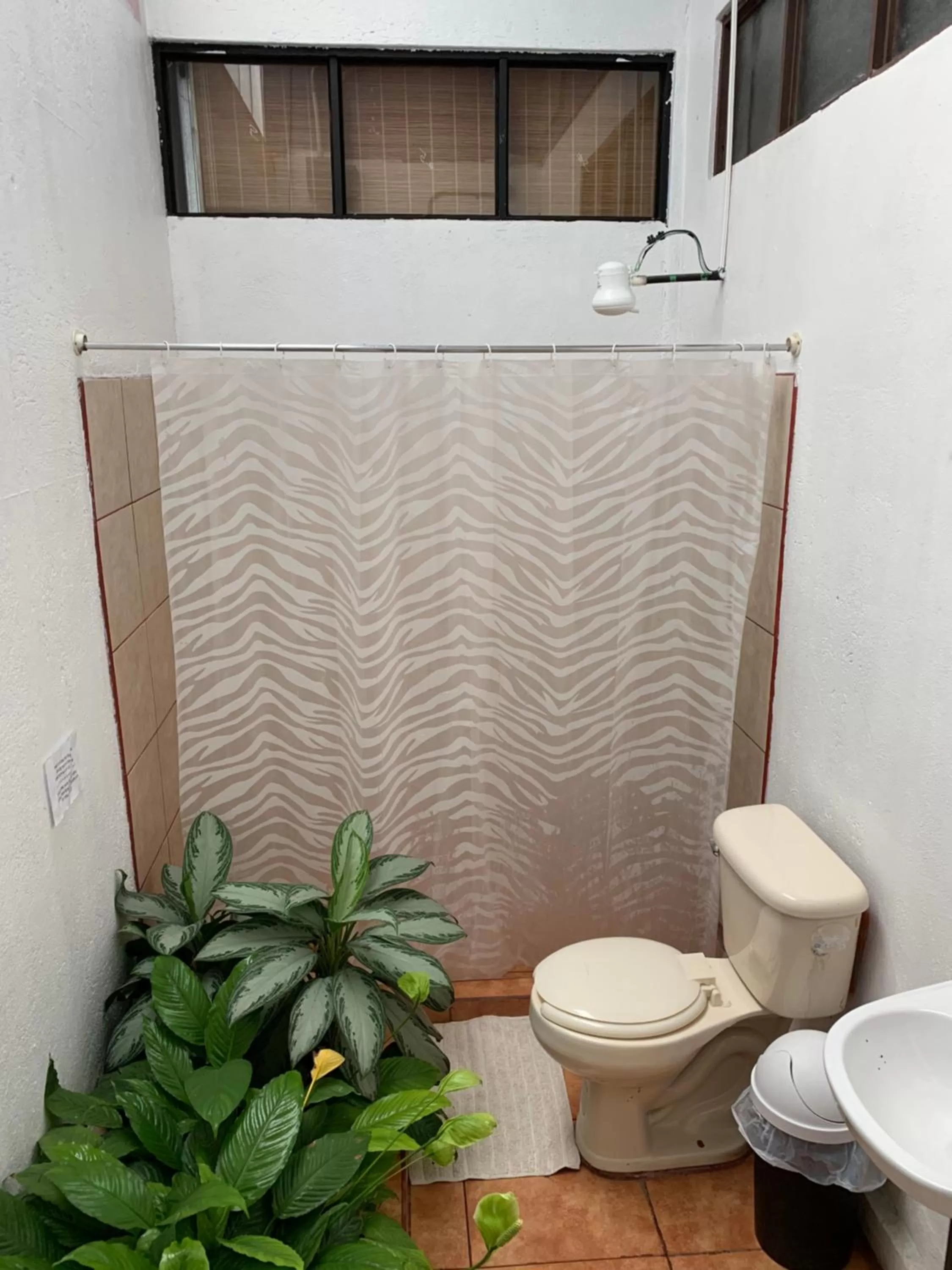 Shower, Bathroom in Hotel Cortez Azul