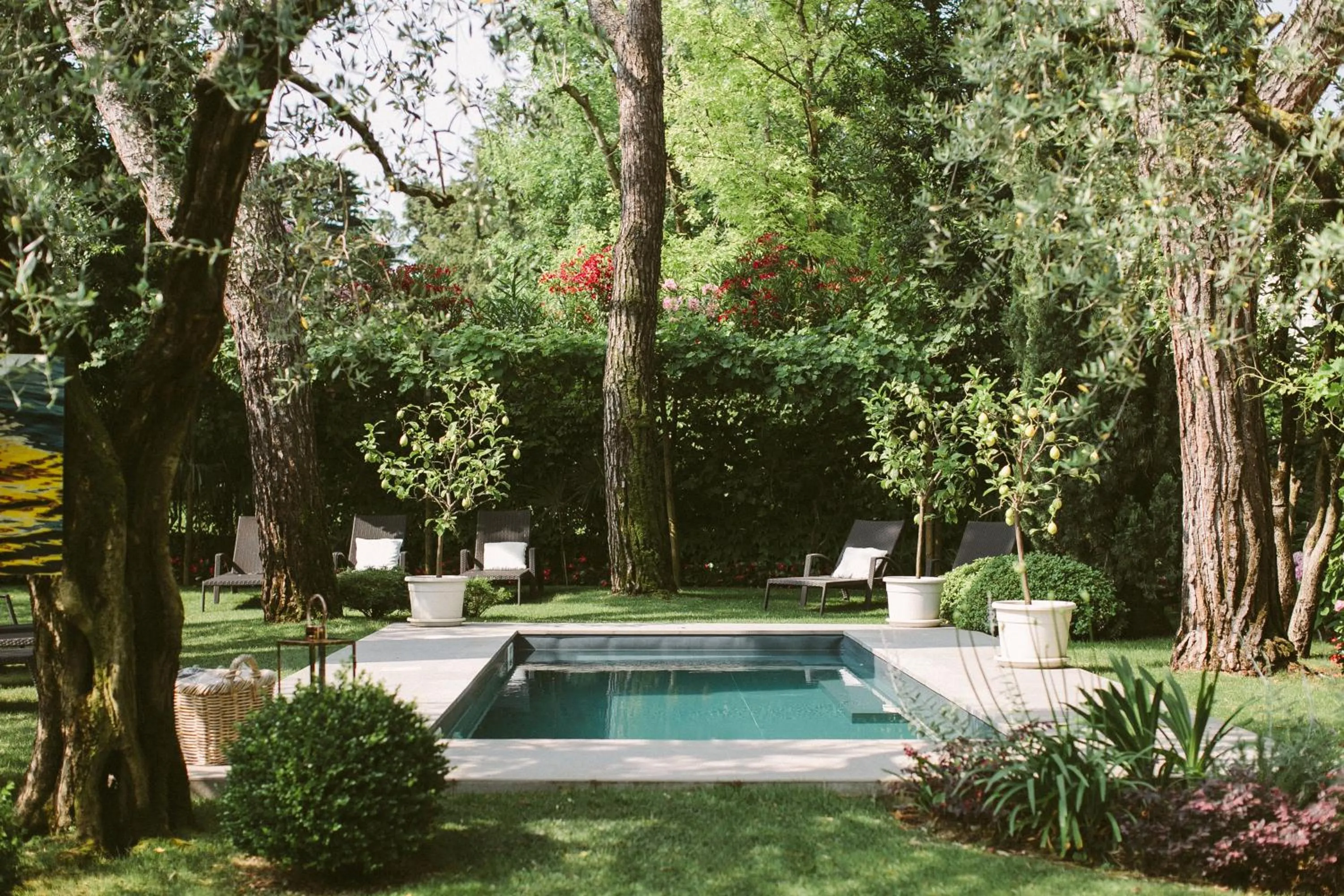 Garden in Hotel Piccola Vela