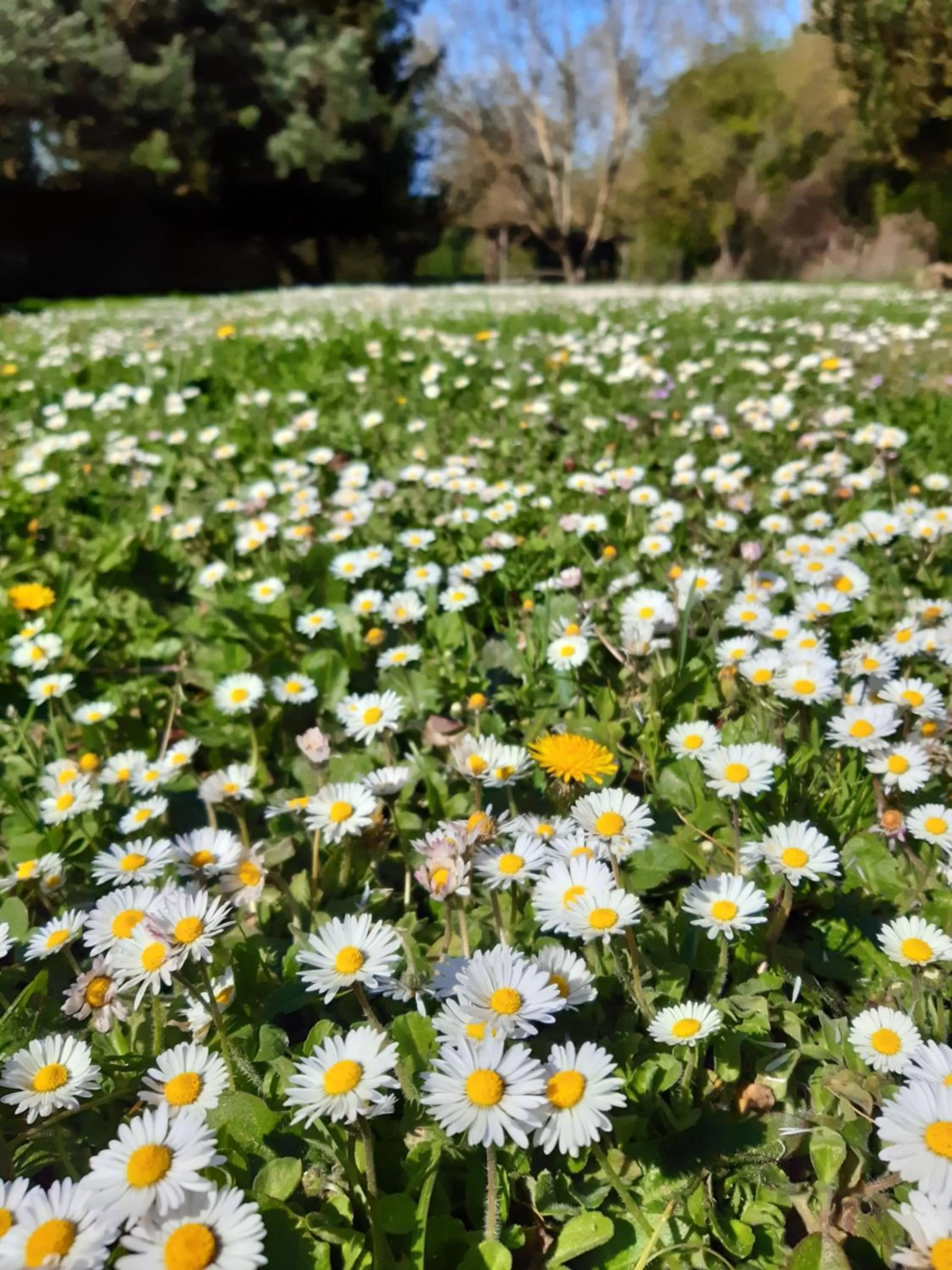 Garden in Au Charme de l'Eure