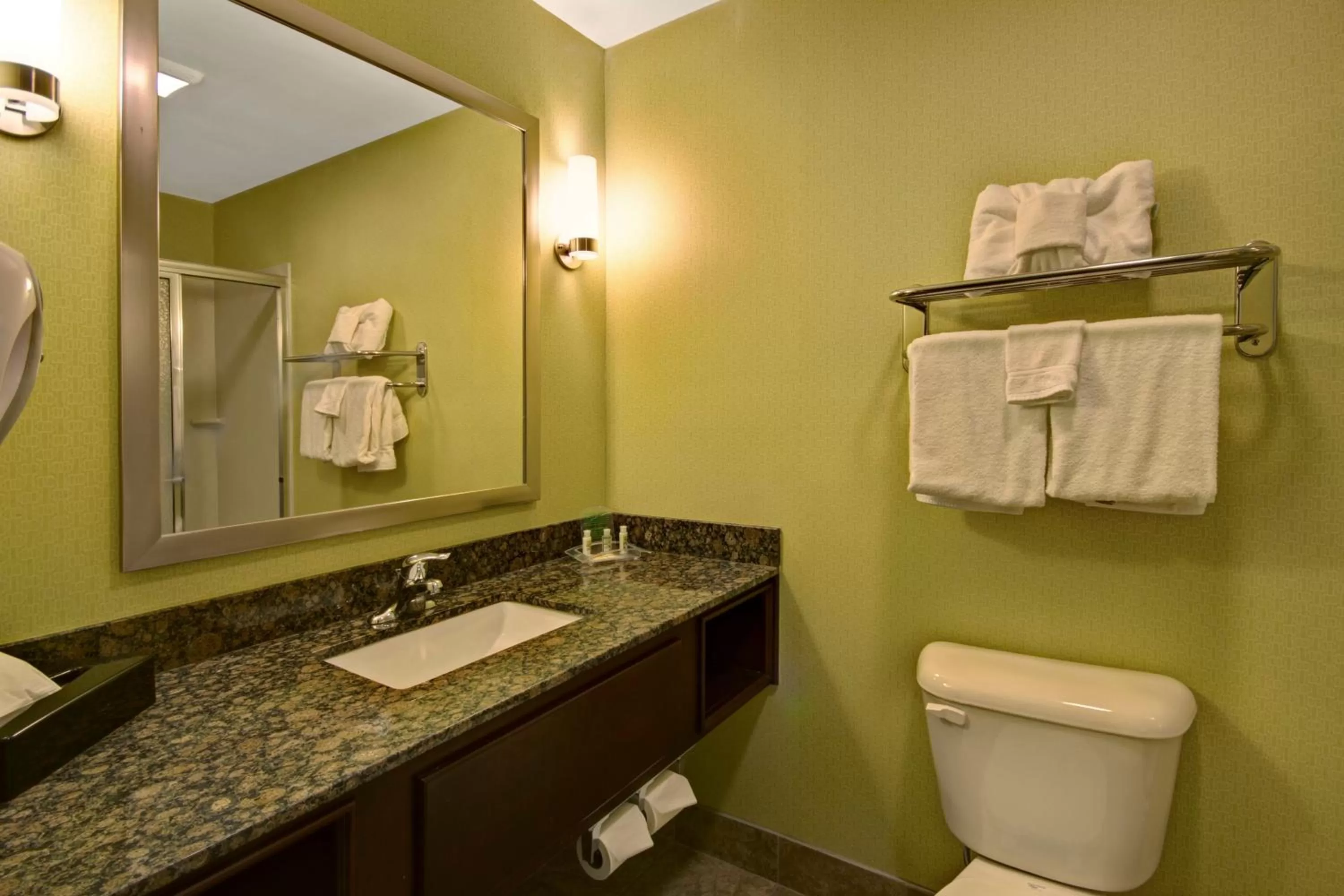 Bathroom in Holiday Inn Christiansburg Blacksburg by IHG