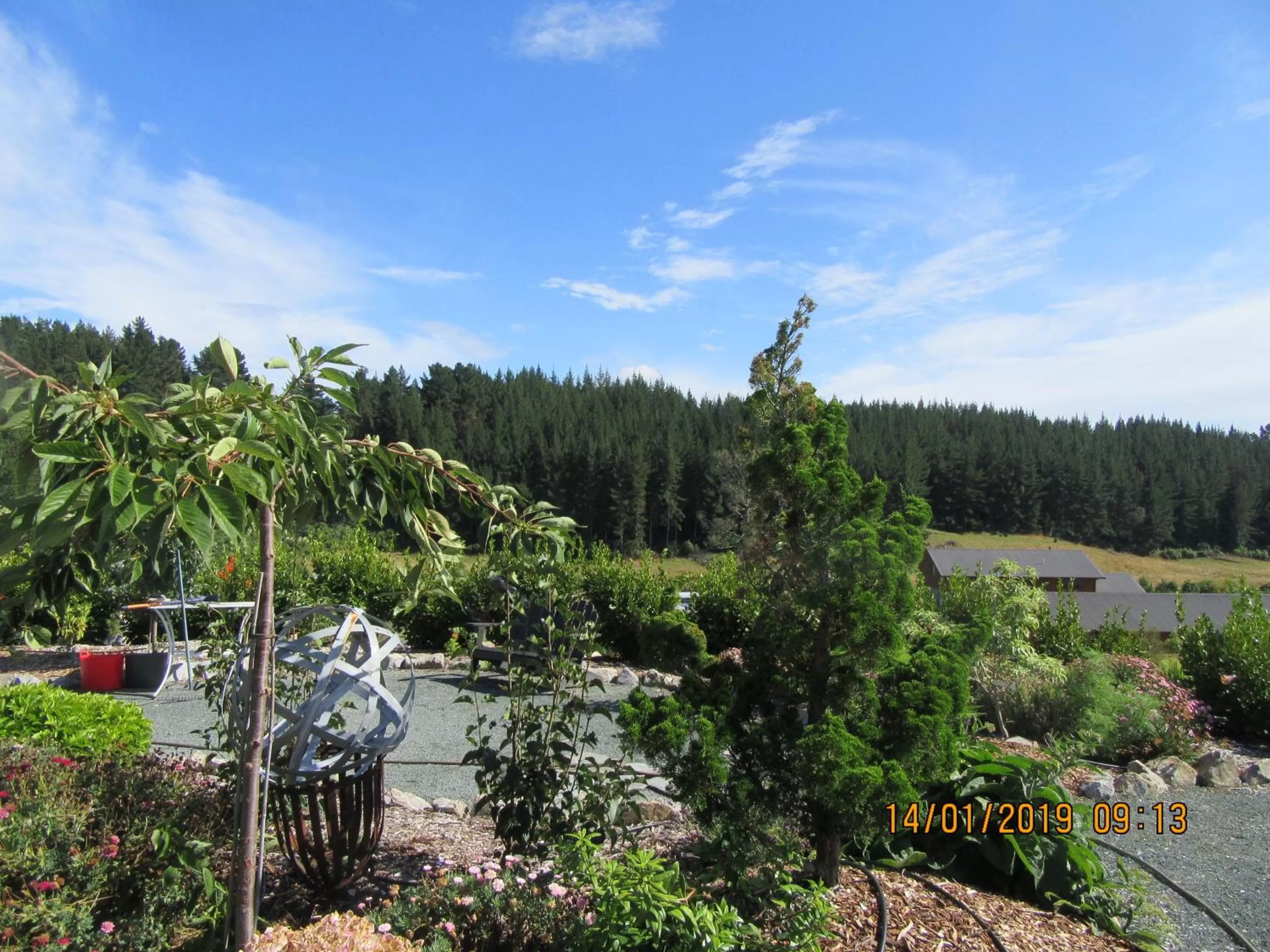 Garden in Redwood Valley B & B