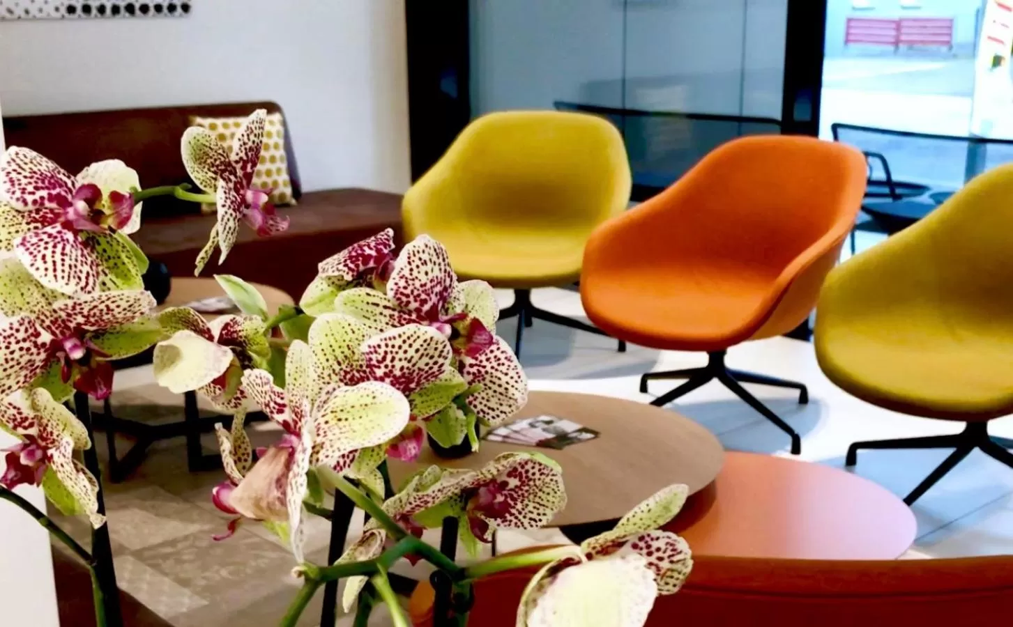 Lounge or bar in Hotel Katharinenhof STANDARD