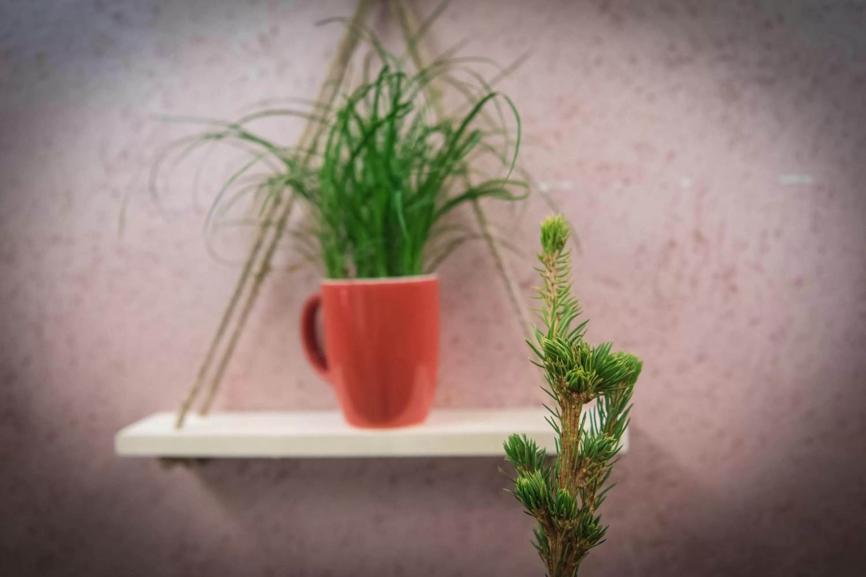 Restaurant/places to eat in Hotel Tigra