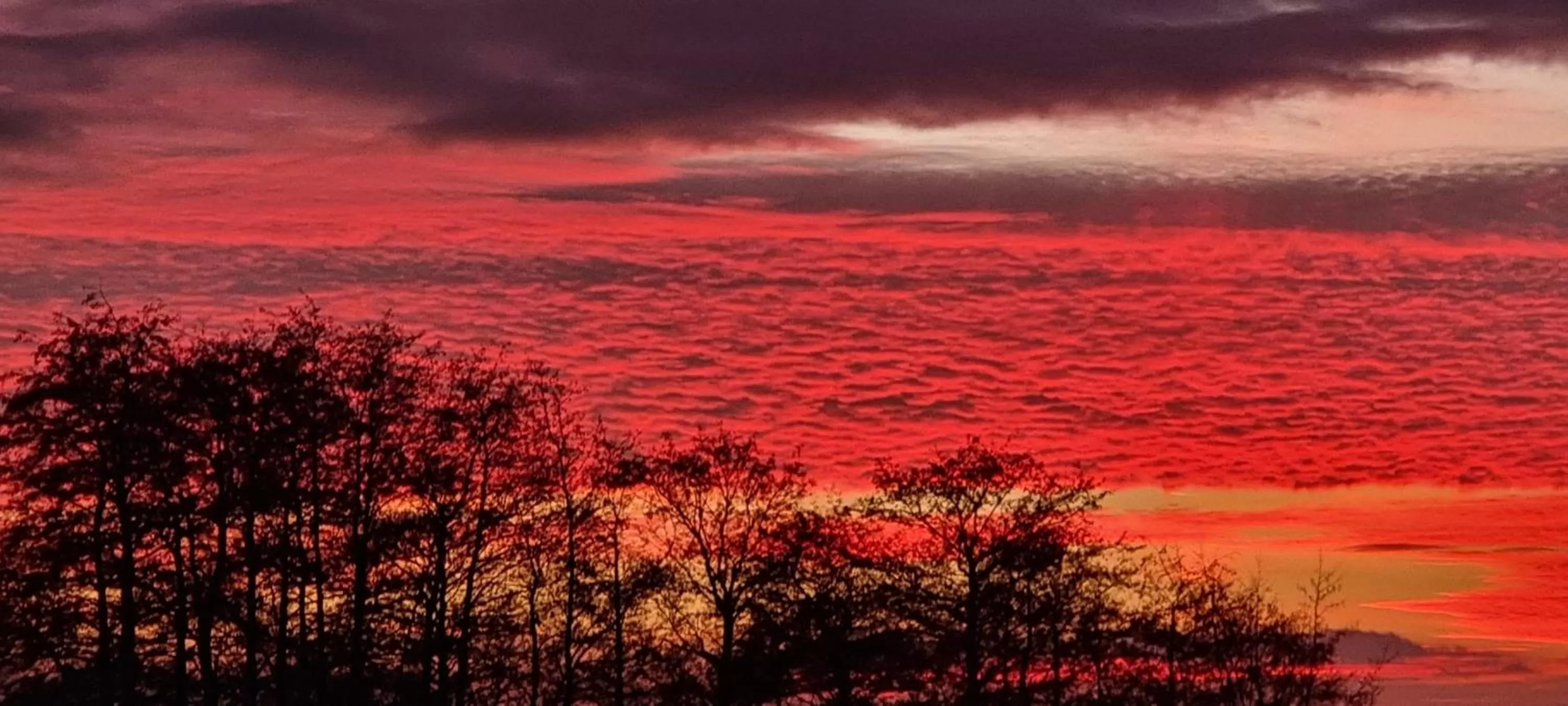 Natural landscape in Hotel Landhuis 't Wilgenerf