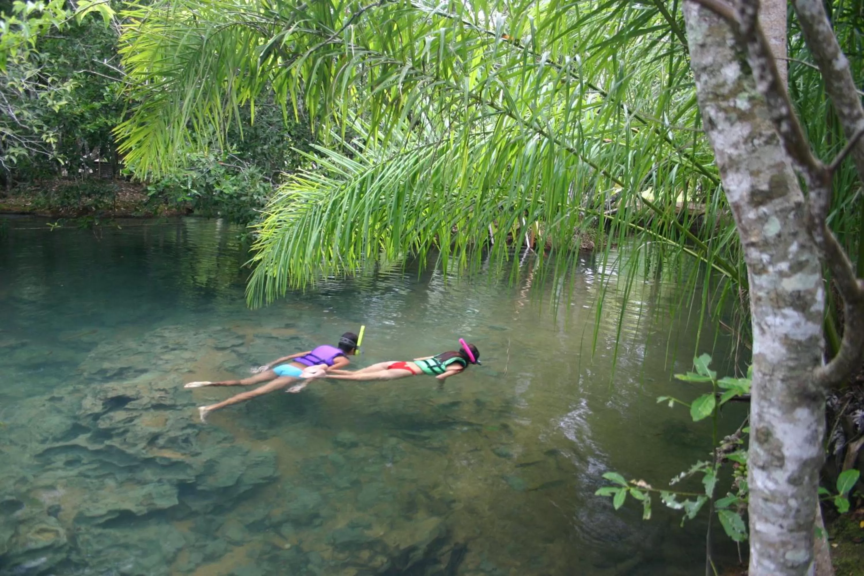 Natural landscape in Hotel Santa Esmeralda