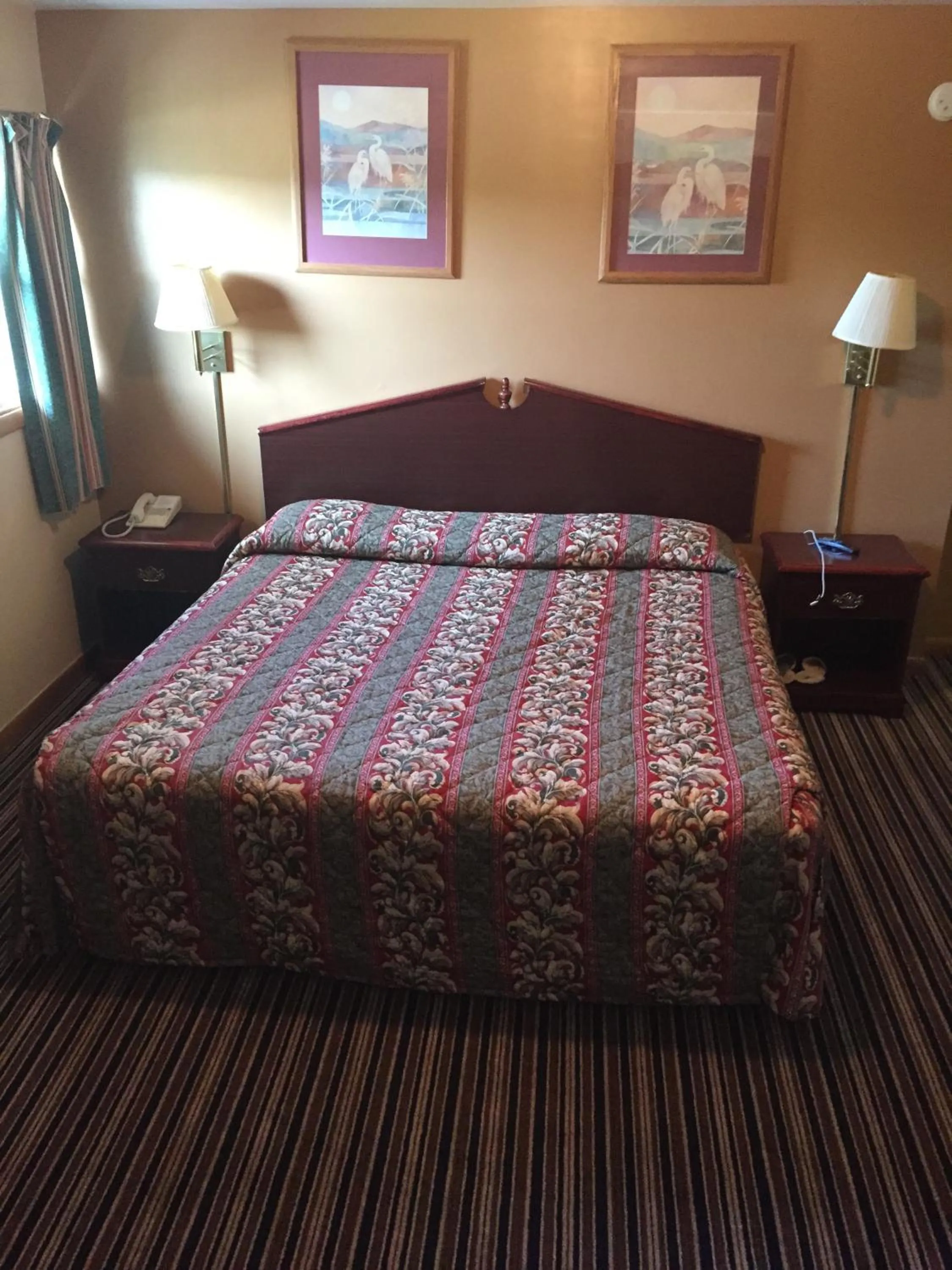 Bed in Budget Inn - Cambridge