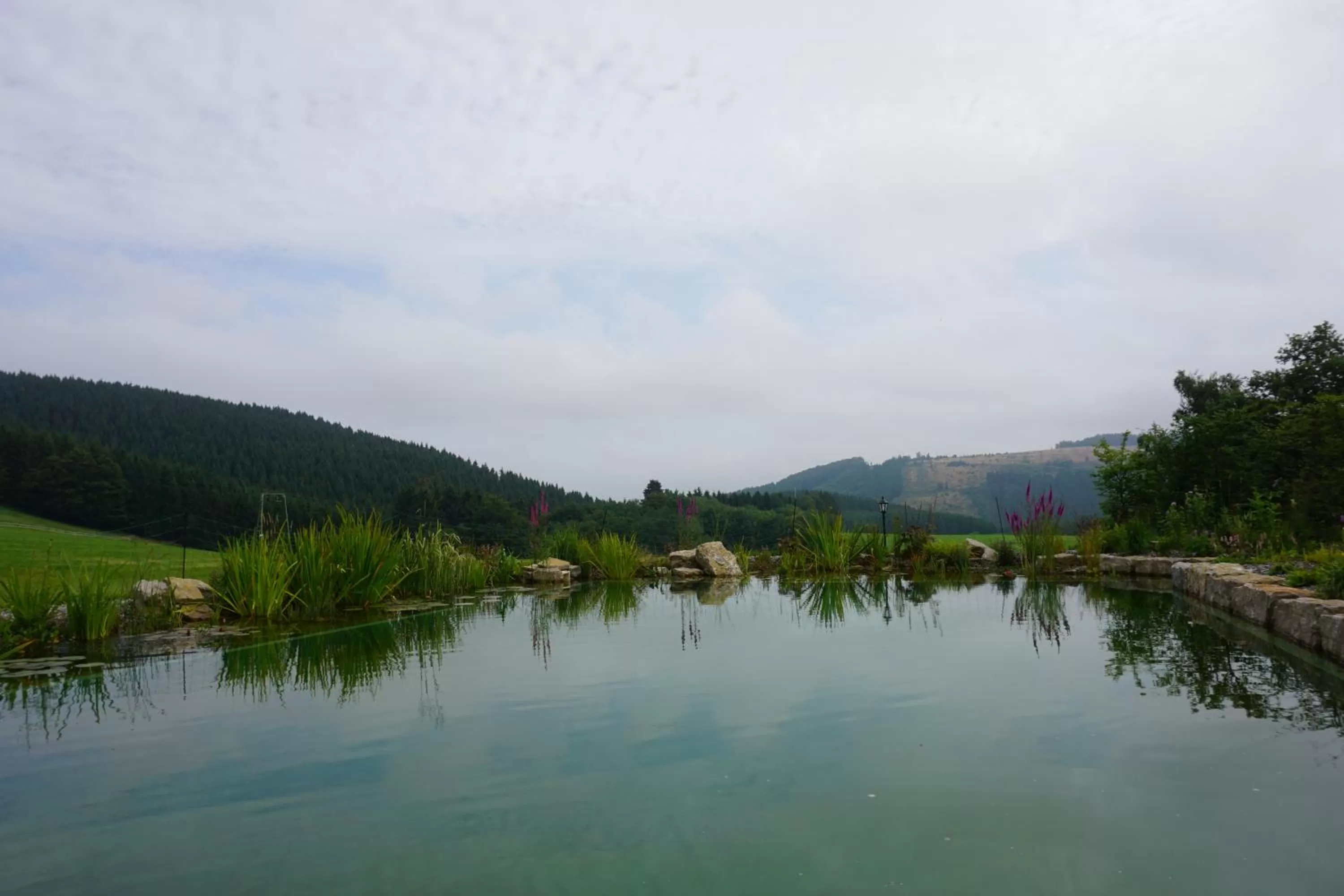 Natural landscape in Hotel Rimberg
