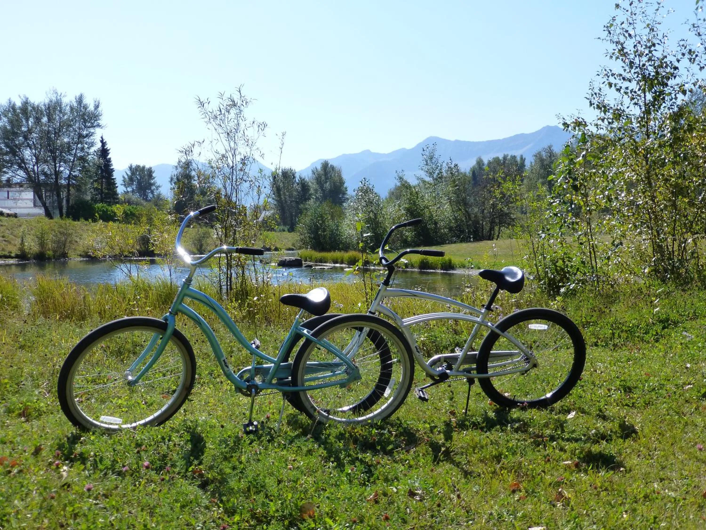 Off site in Red Tree Lodge