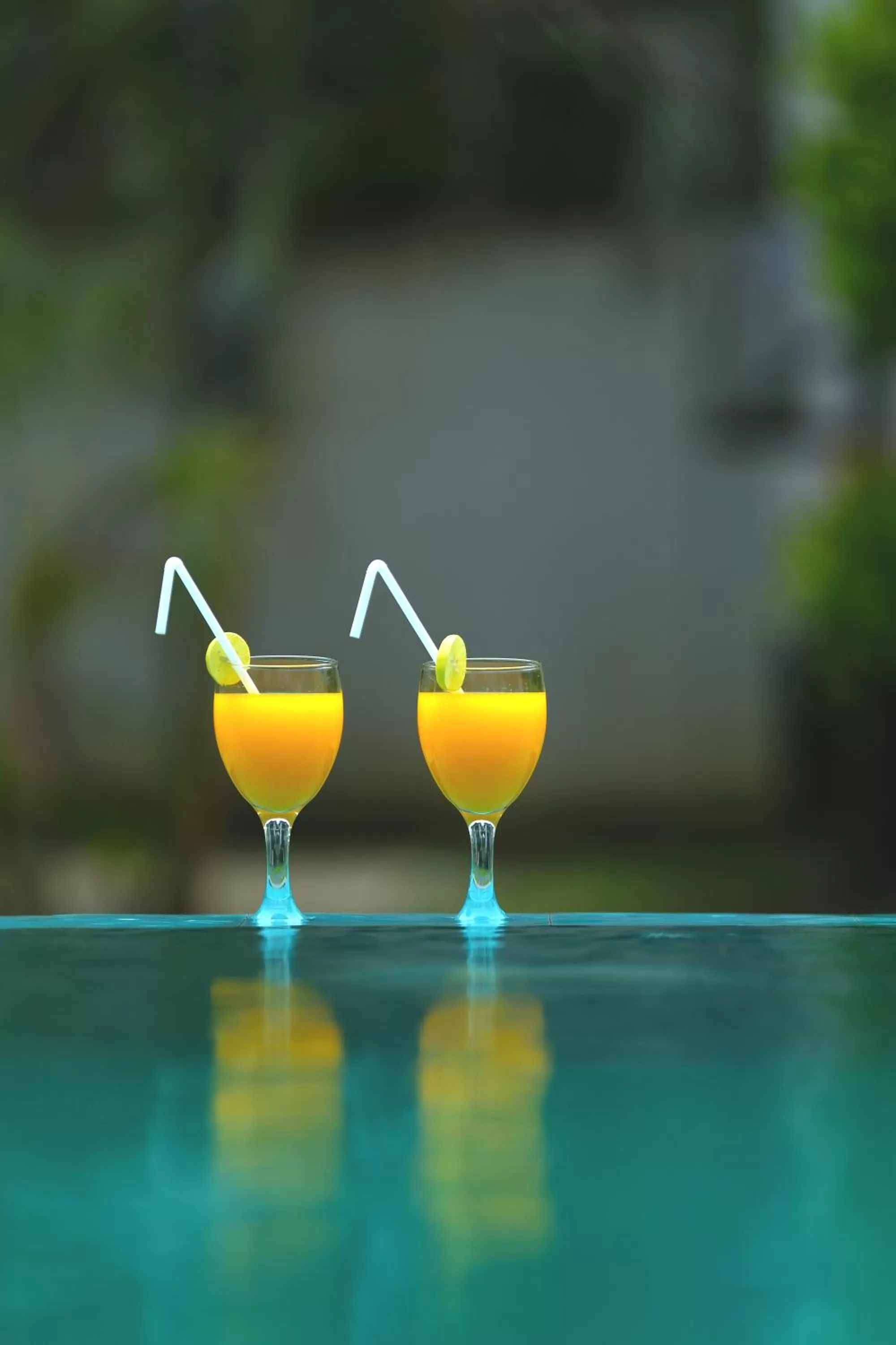 Garden in Kaminrich Cottage