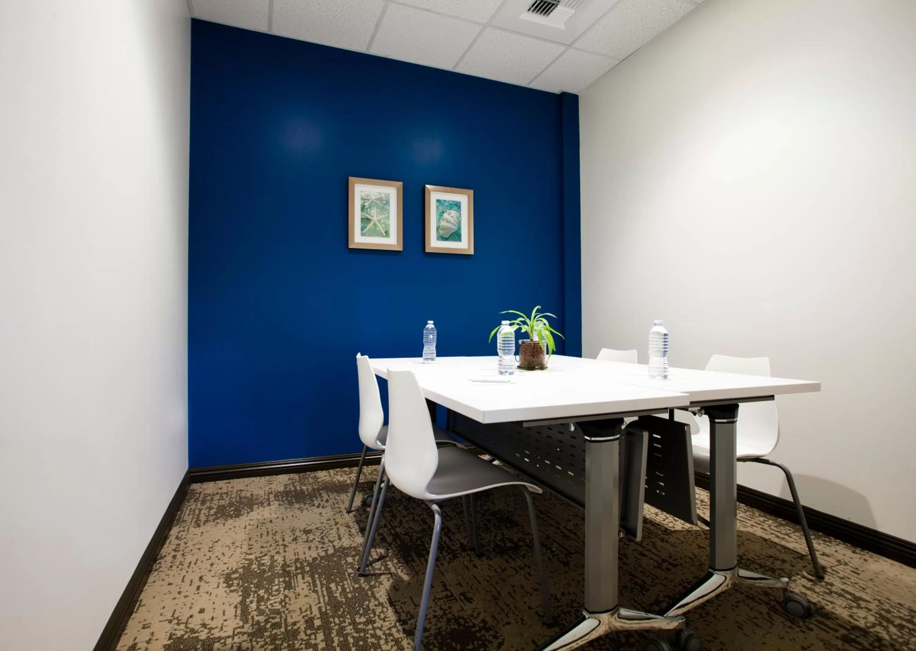 Meeting/conference room in Redac Gateway Hotel Torrance