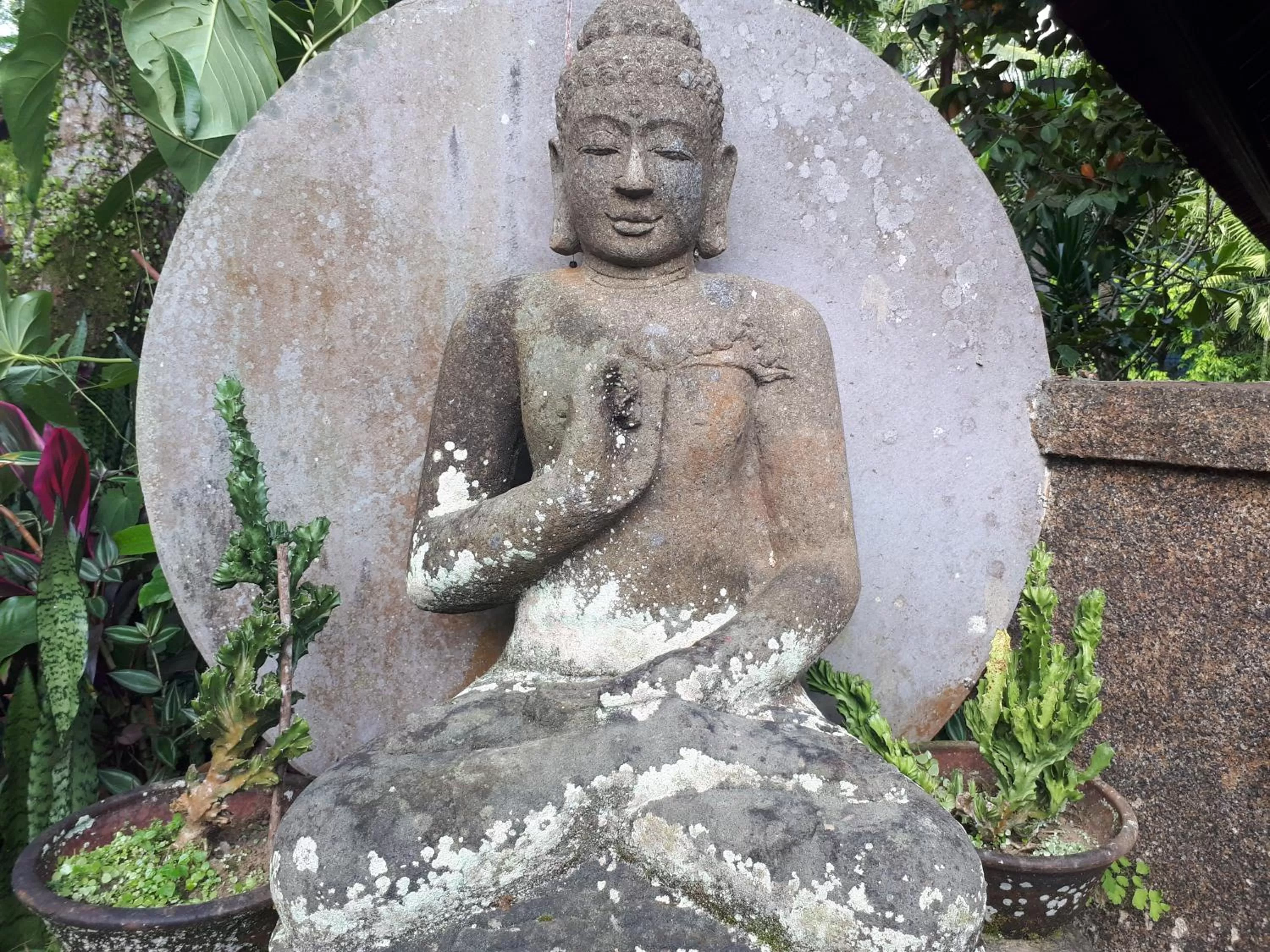 Garden view in Cendana Resort & Spa by Mahaputra