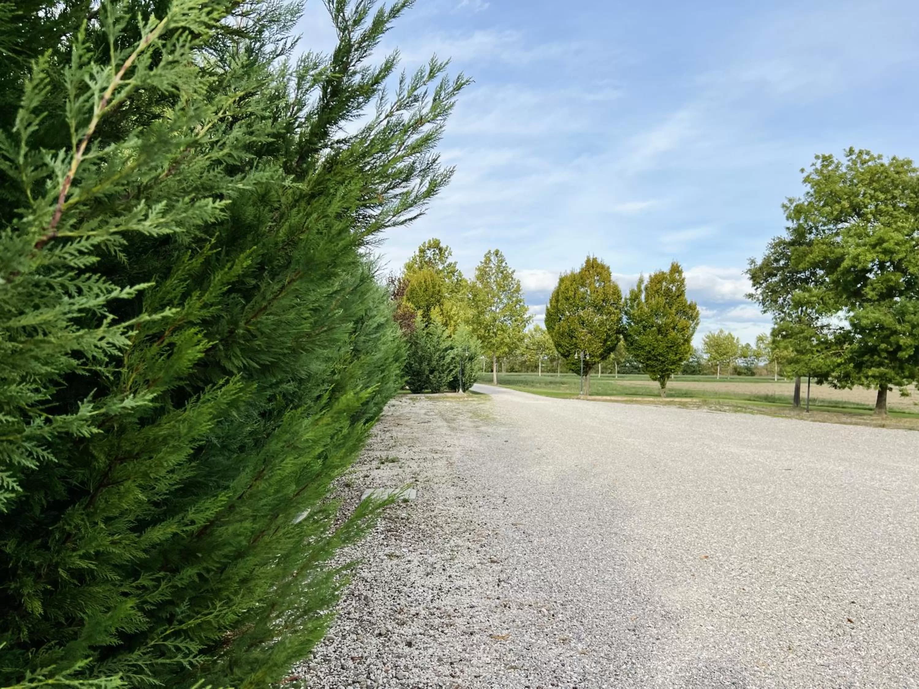 Garden in Agriturismo Sabidor